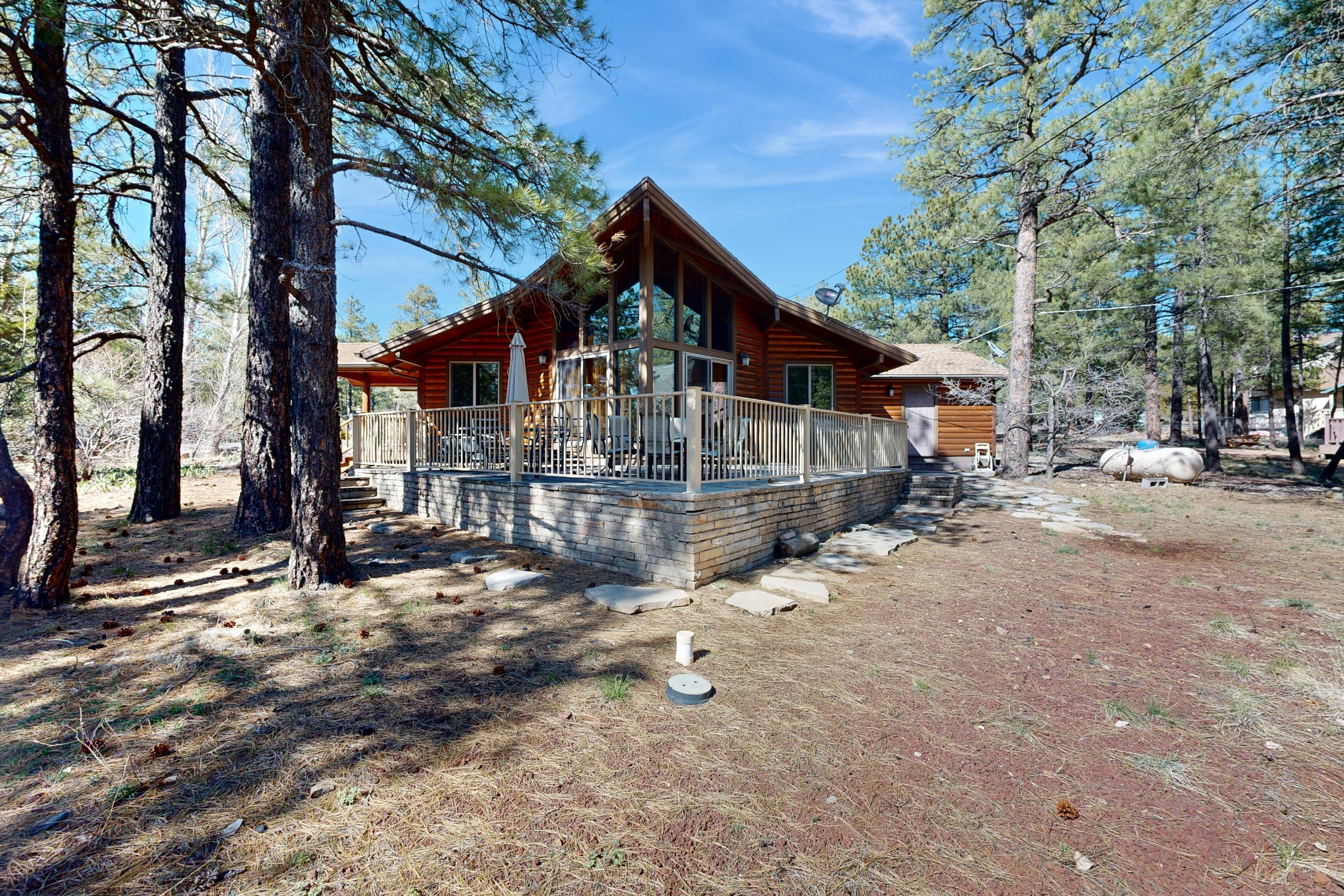 Property Image 2 - Home in the Pines