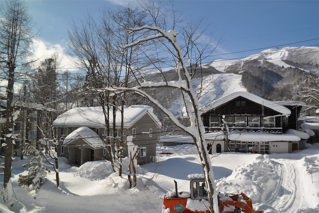 Cats Villa Hakuba #1