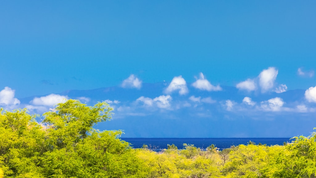 View of ocean in the distance from the lanai