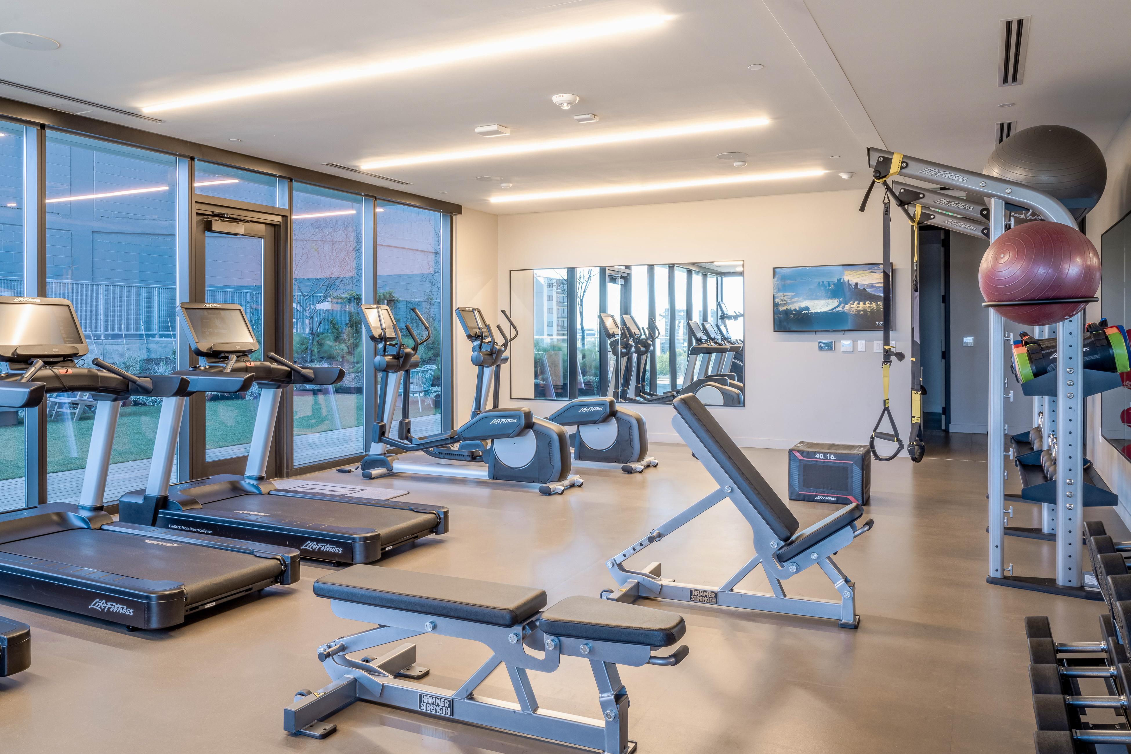 Natiivo Austin Falcon