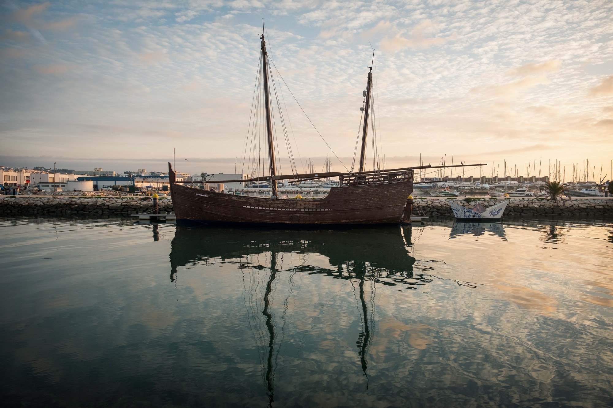 Portuguese Caravela Portuguese Caravela