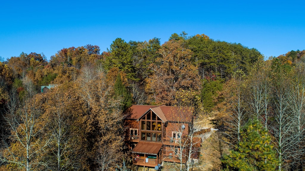 Your treetop getaway.