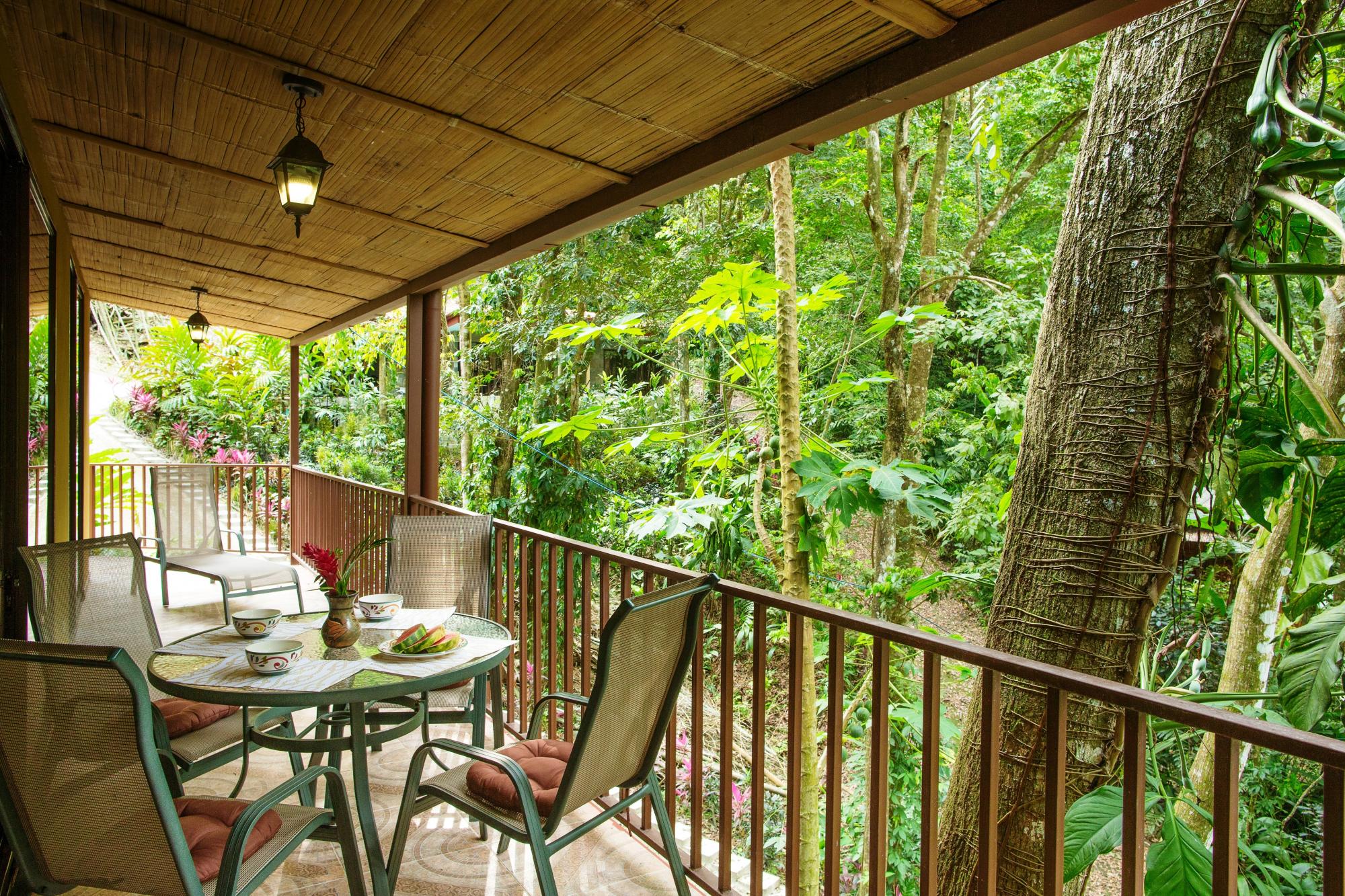 Property Image 2 - Bali inspired Casa Cascada w  Jungle views   Wi-Fi private pool  ac