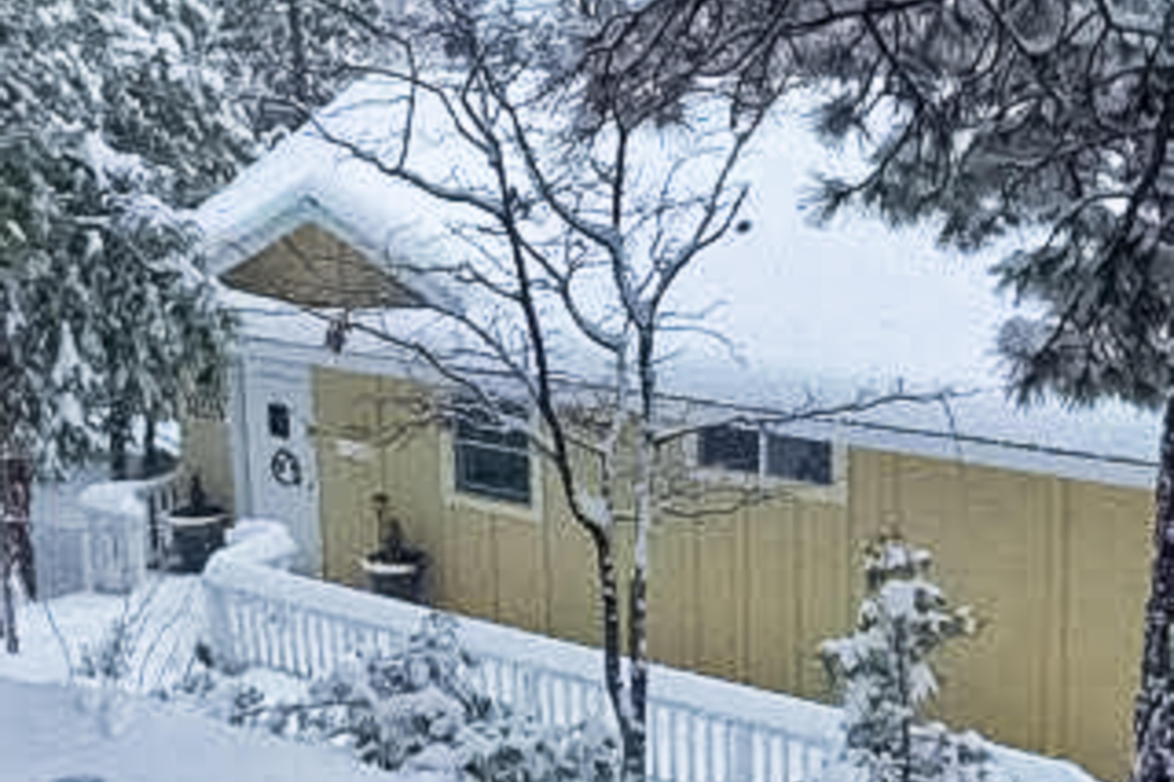 Treetop Cottage