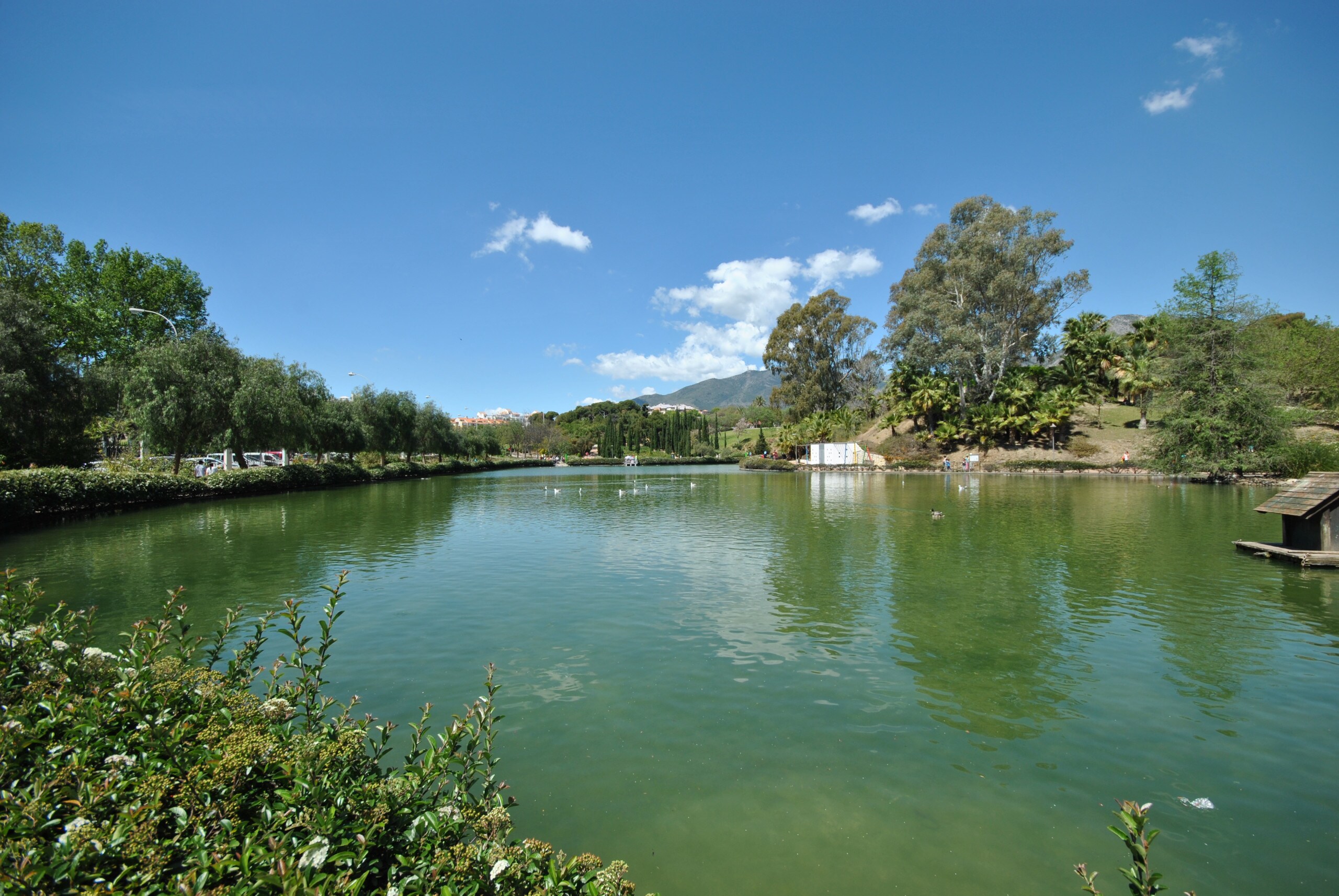 Enjoy the nearby parks of this apartment in Benalmádena (Arroyo de la miel)