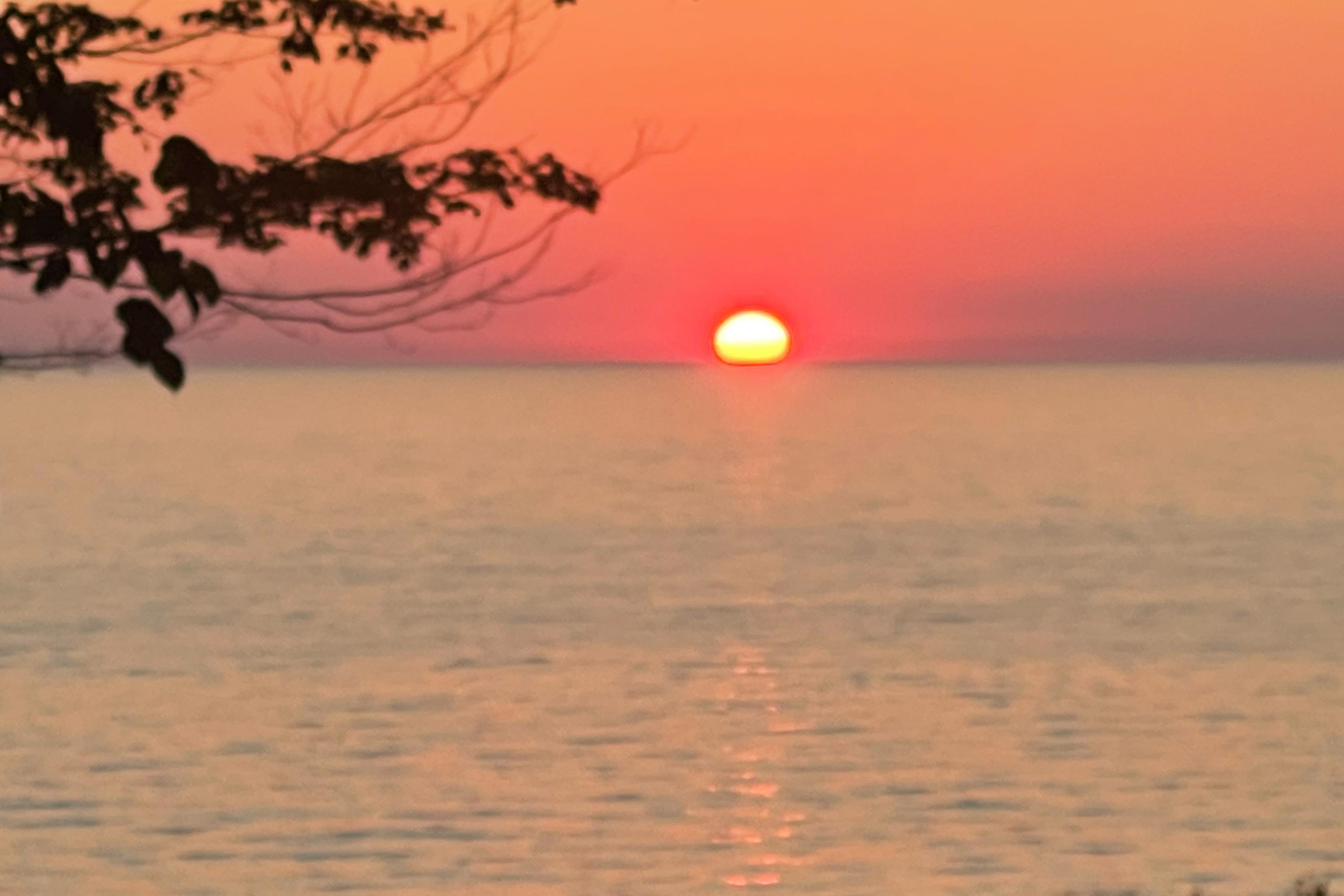 Appy Place Appy Place