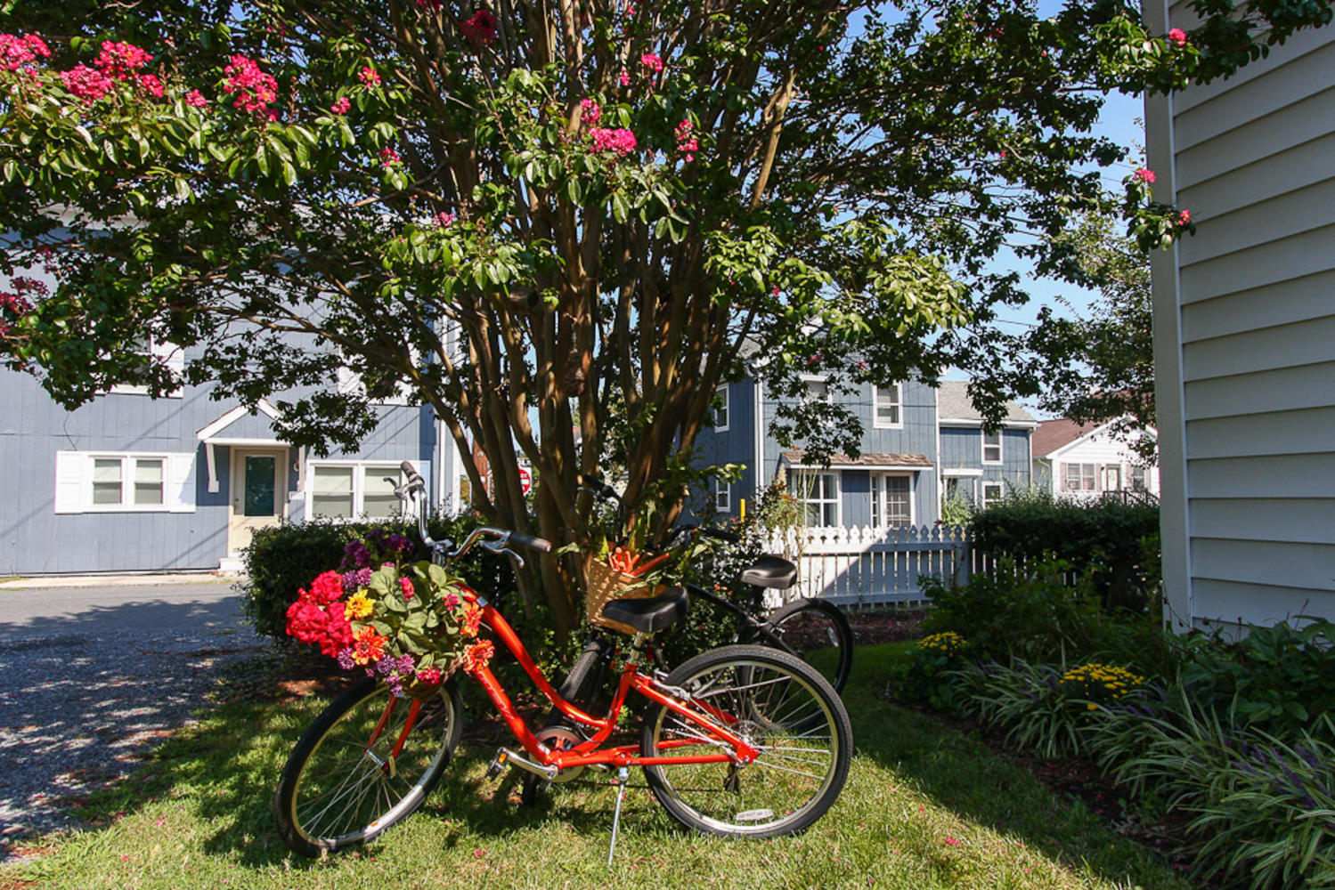 Bicycles Around Town