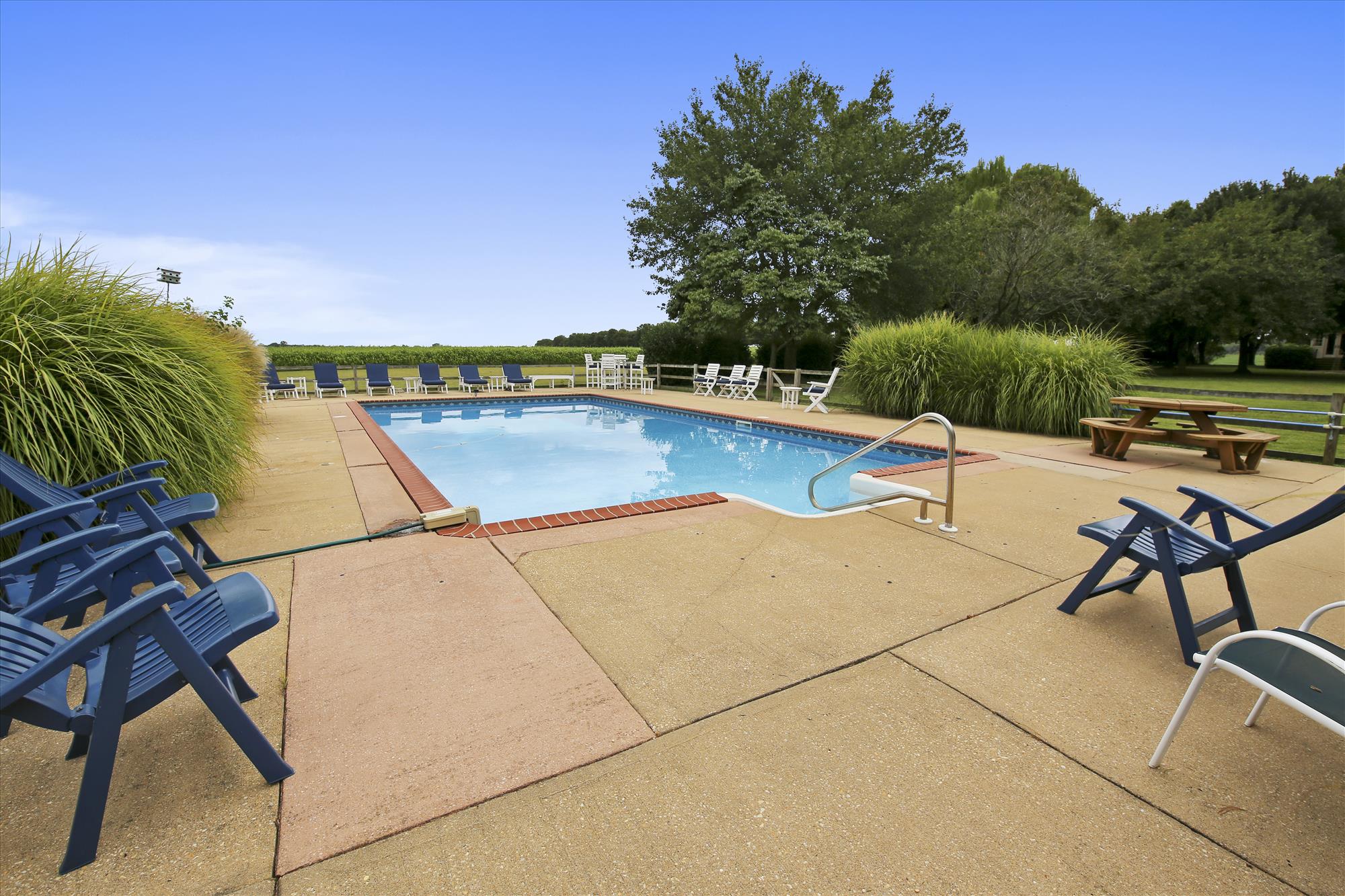 Exterior Pool