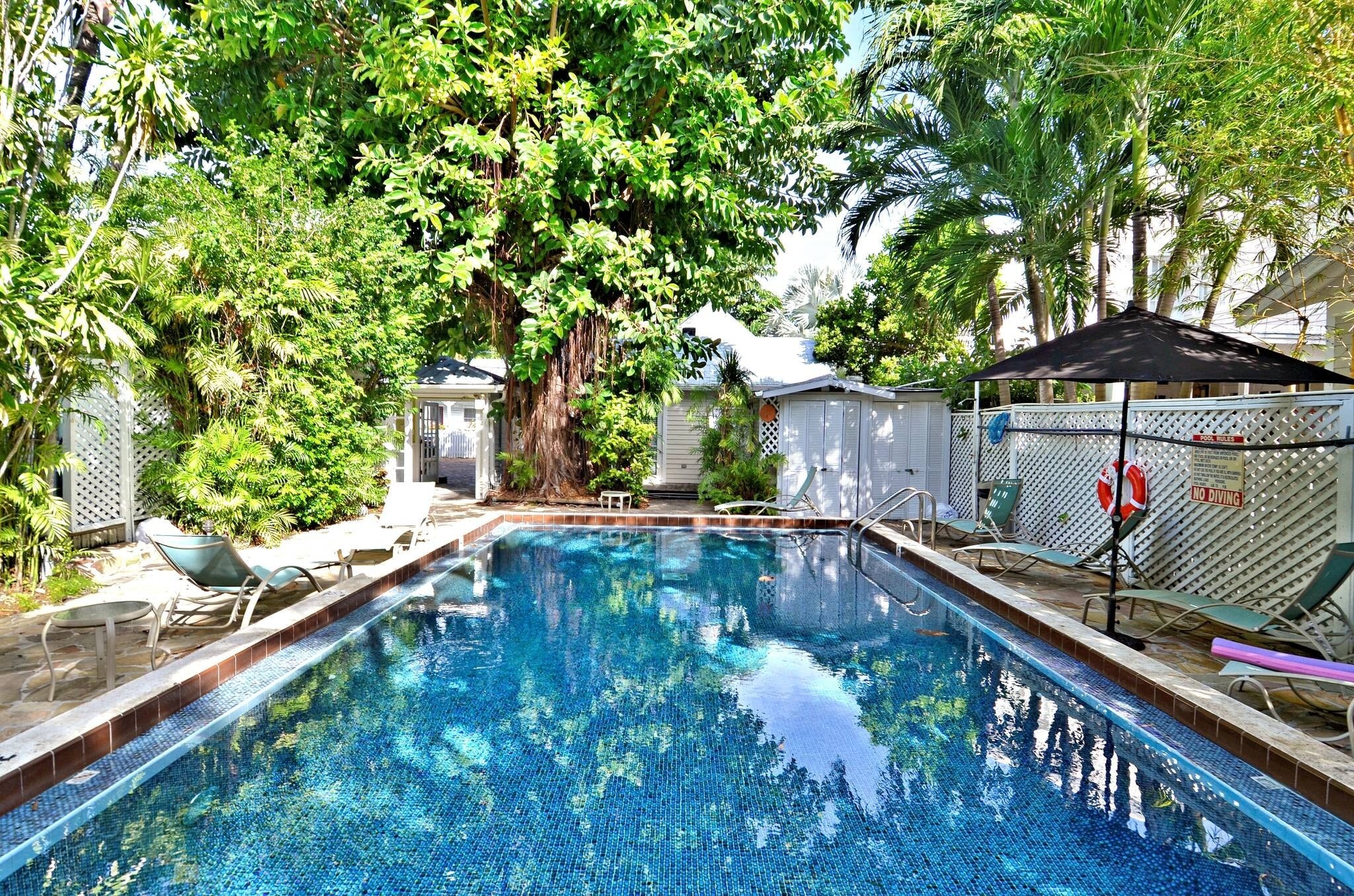 Make a splash in your shared backyard pool.