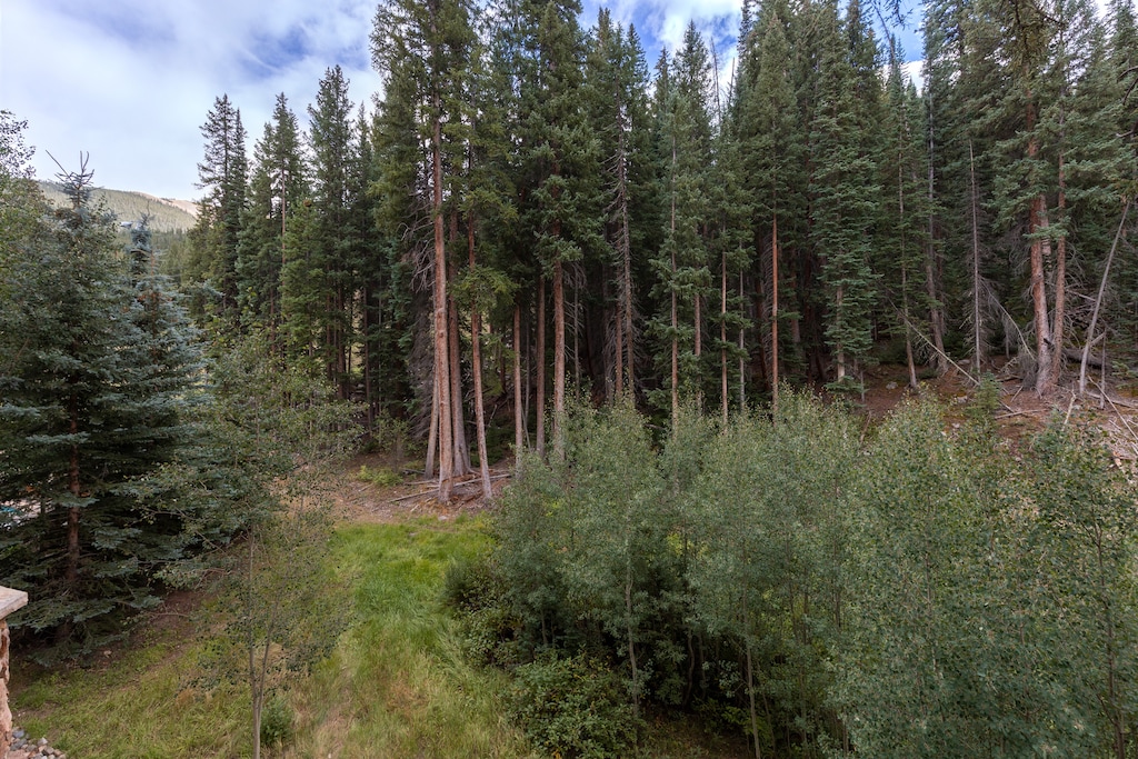 View from Private Balcony