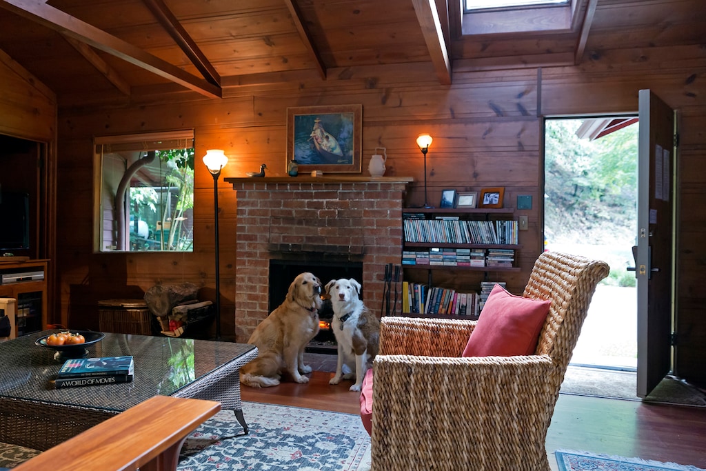 Even the pups love Casa Luna!