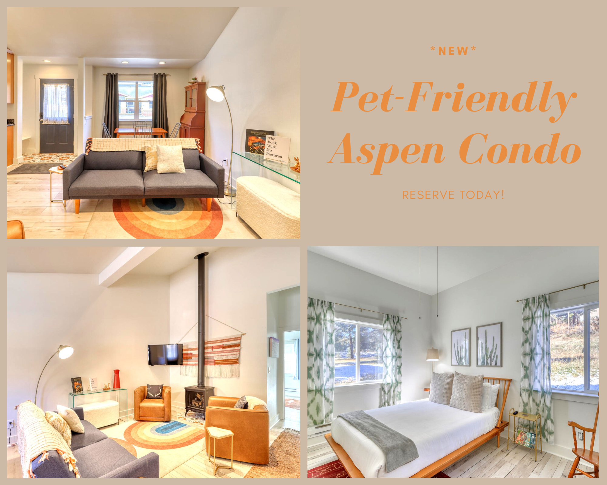 Property Image 1 - Pet Friendly - Aspen Condo