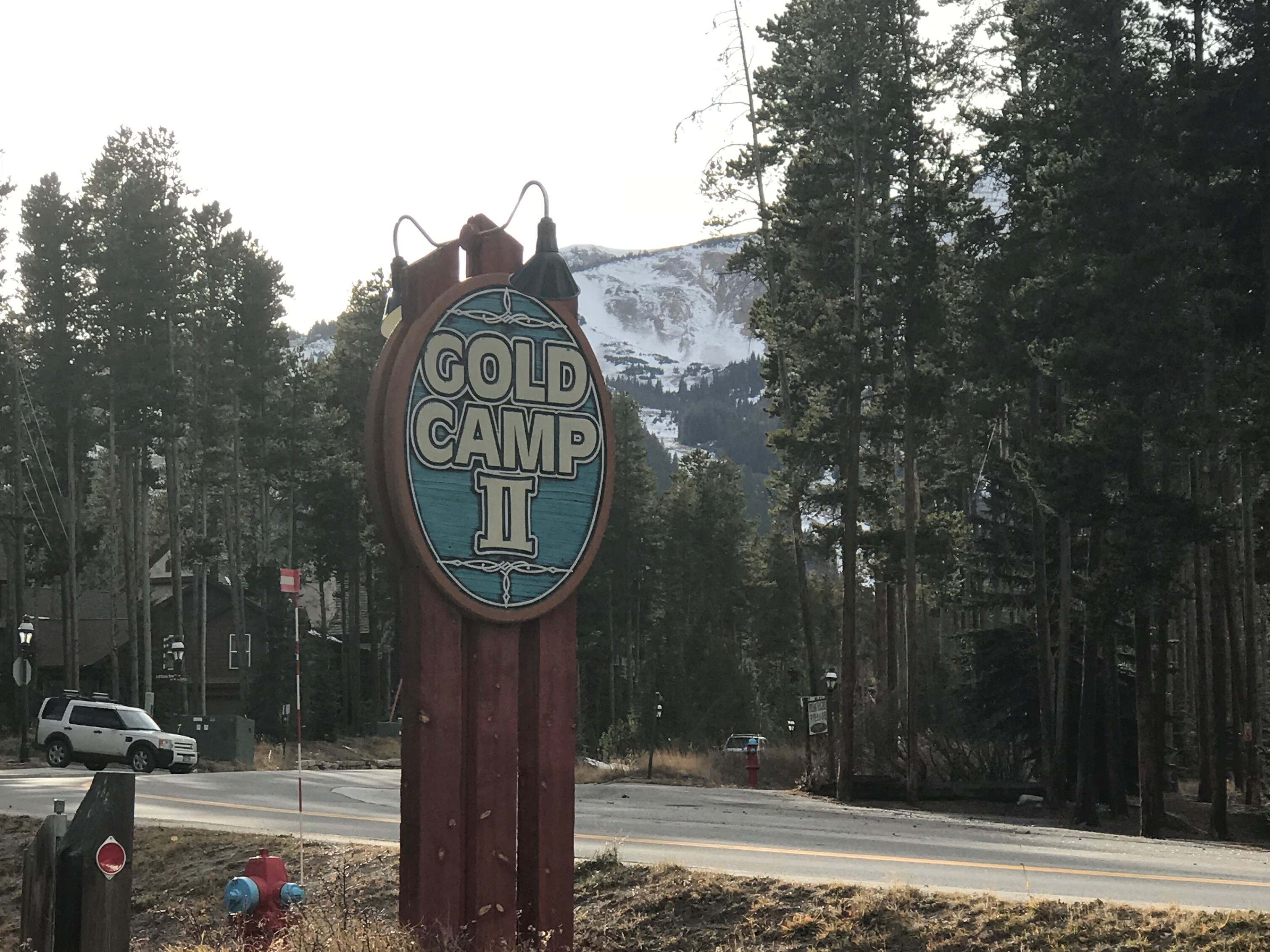 Gold Camp II E89