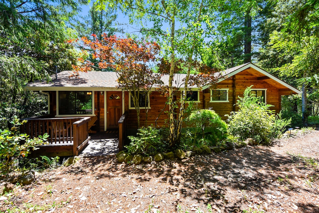 Visit Baumhaus with your friends and family!