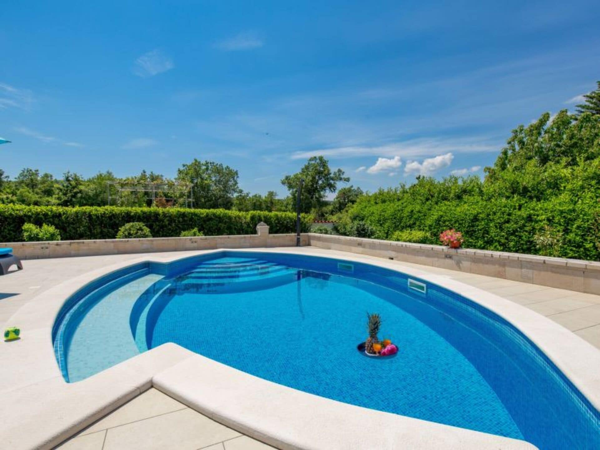 Property Image 2 - The Ultimate Villa with Stunning Views, Istarska županija Villa 1228