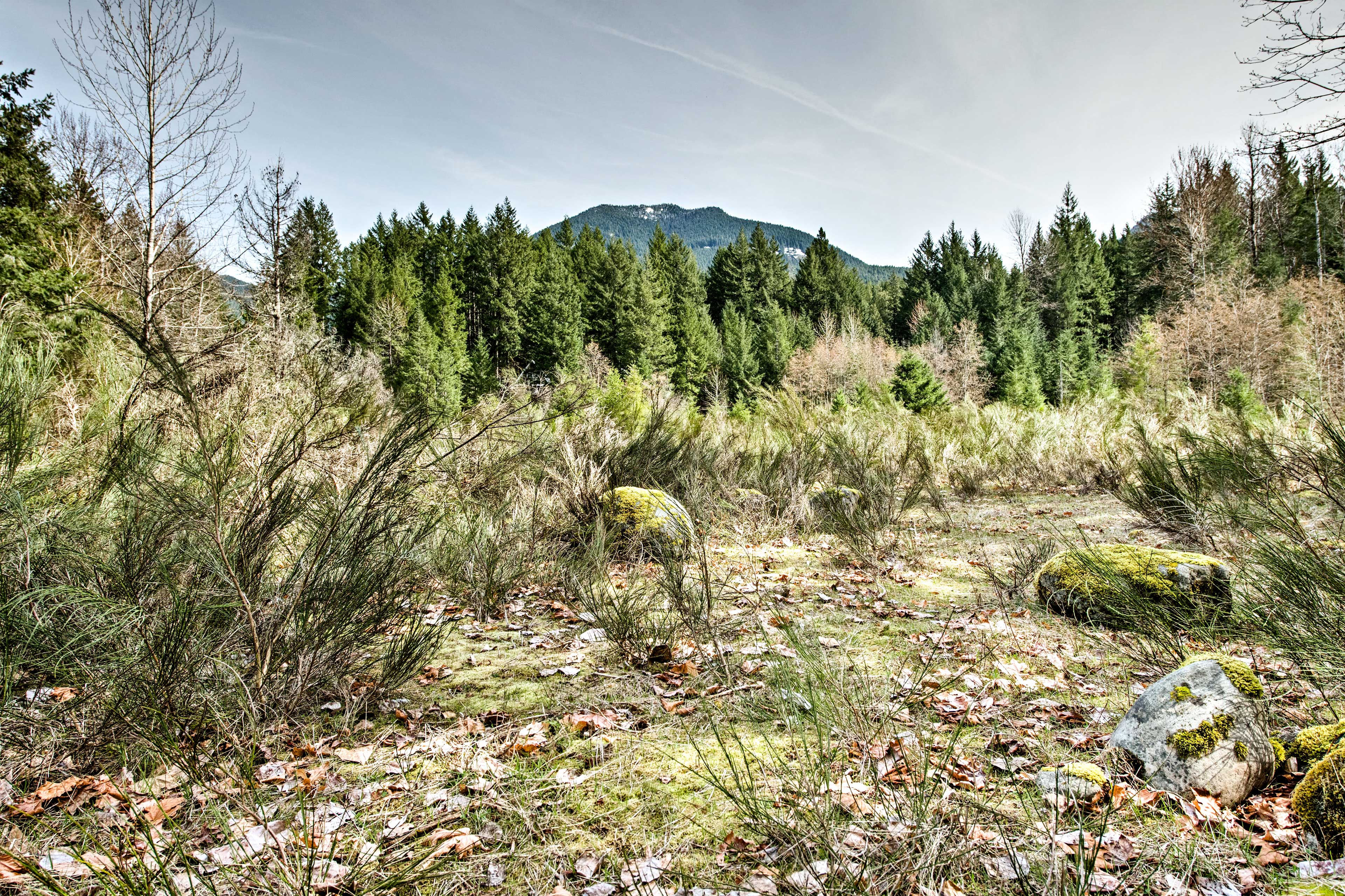 Property Image 2 - Serene Washington Escape w/ Deck & Mountain Views!