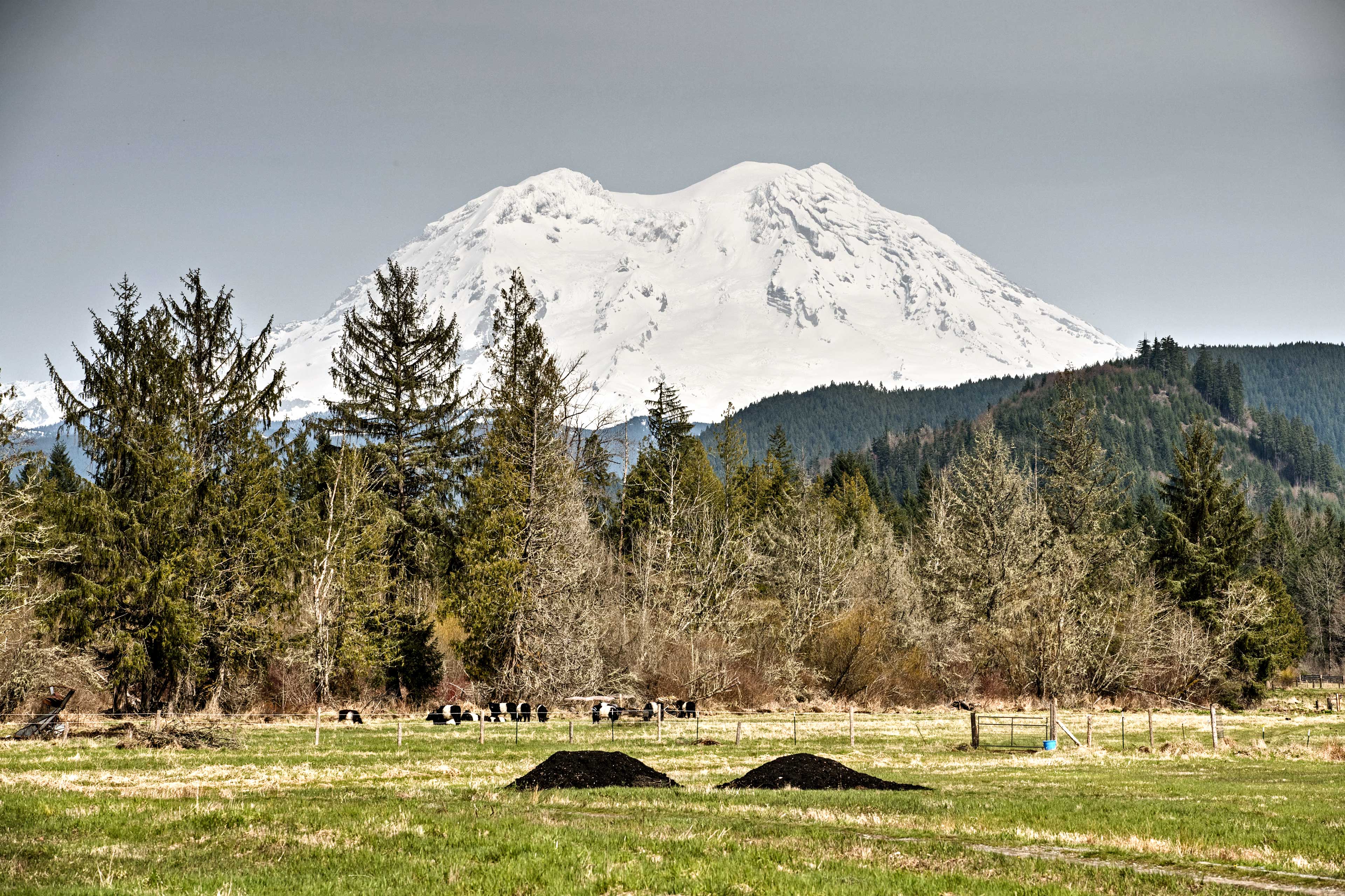 Property Image 1 - Serene Washington Escape w/ Deck & Mountain Views!