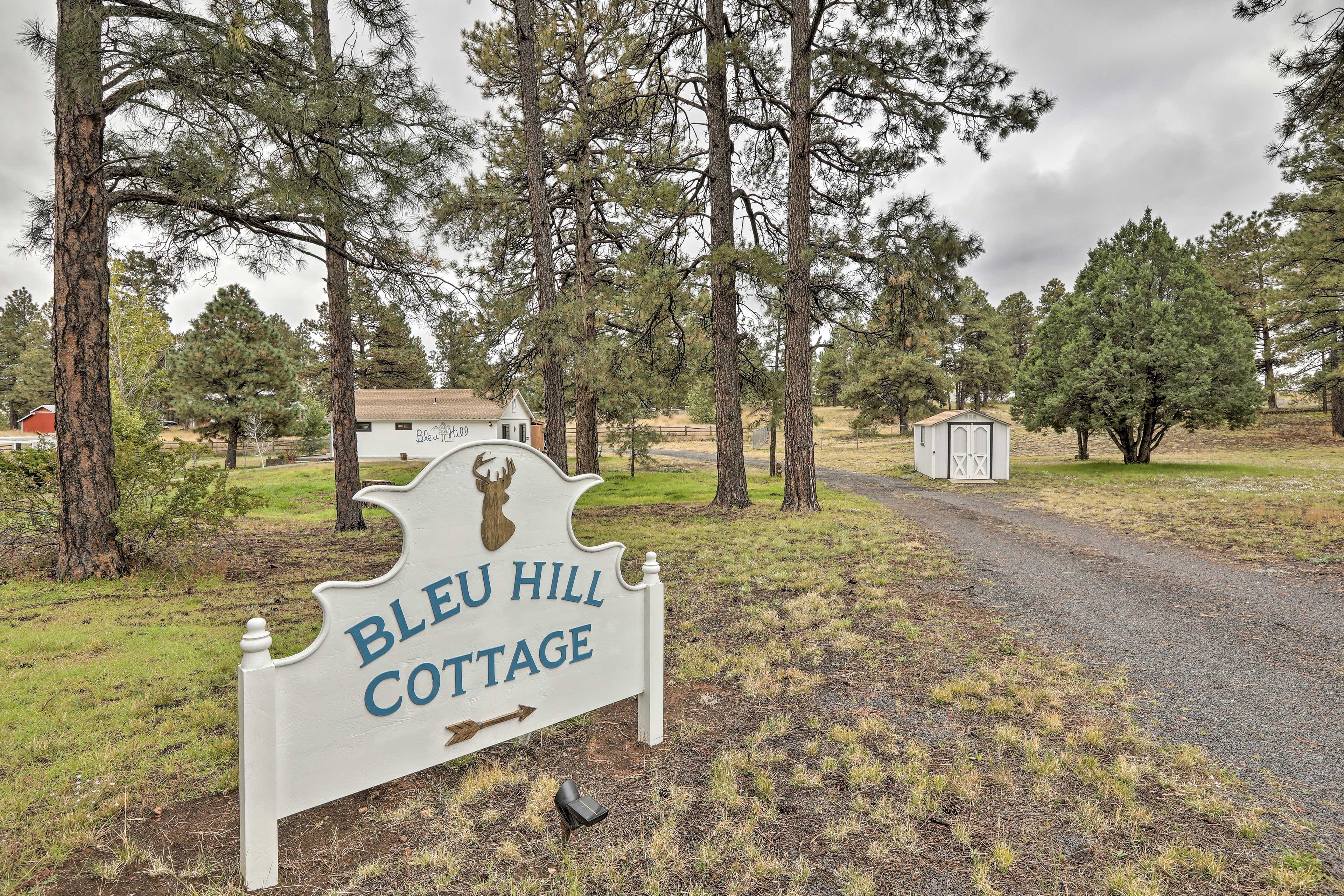 Property Image 2 - Ski Snow Bowl & Hike: Cozy Flagstaff Cottage!