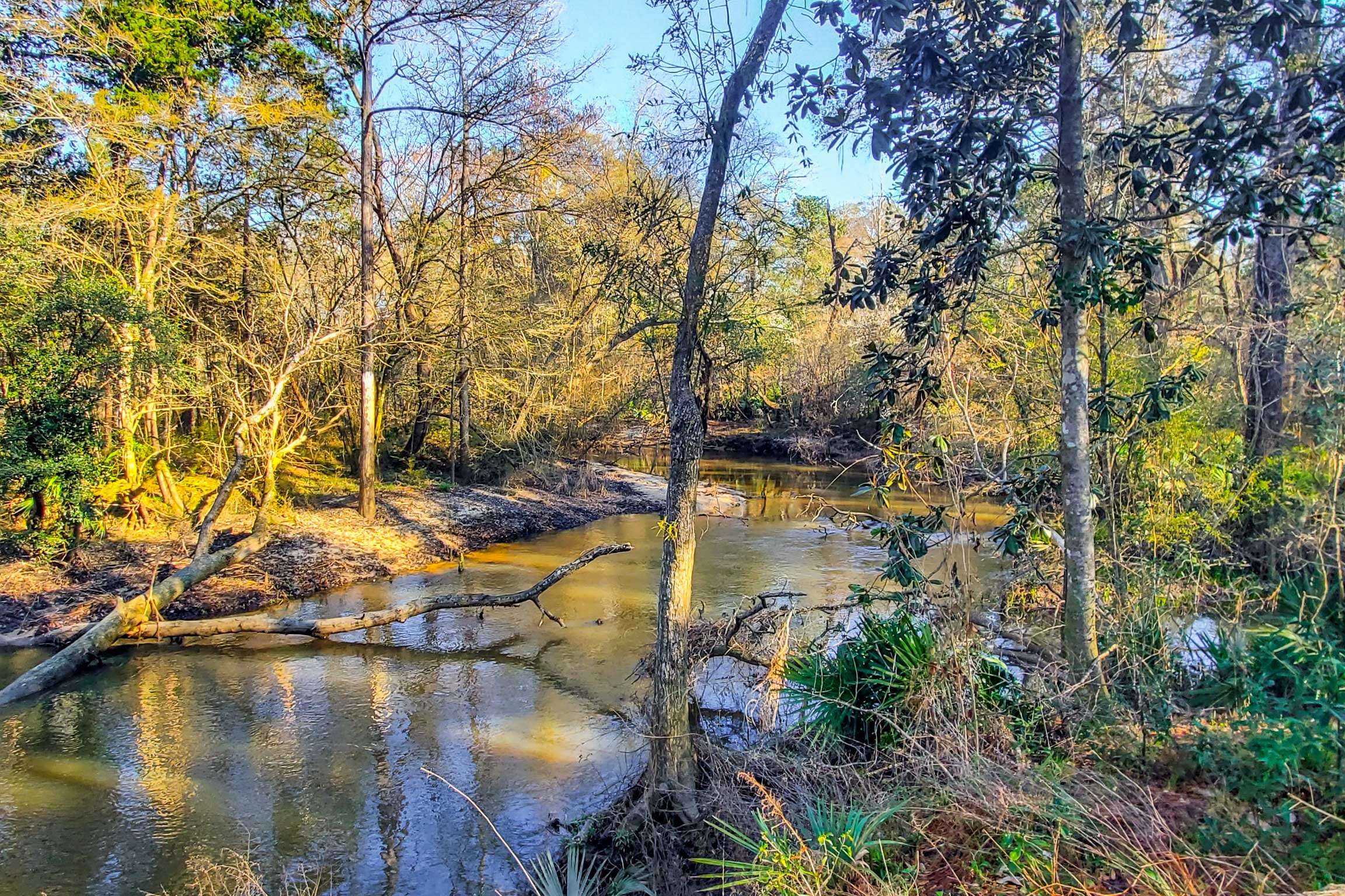 Property Image 1 - Bonifay Estate with Spring-Fed Swimming Hole!