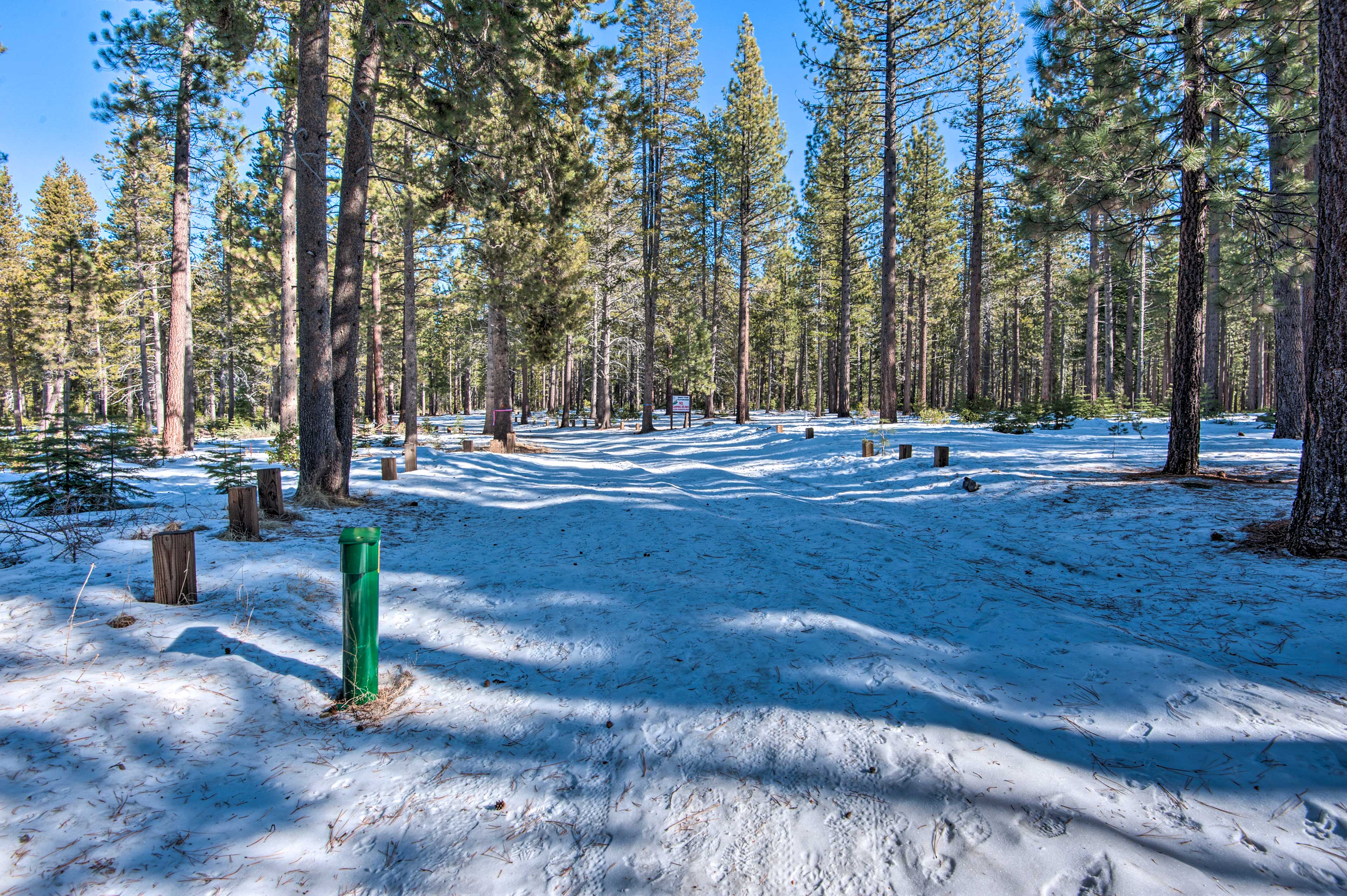 Property Image 1 - Cozy Mountain Cabin ~ 7 Mi to Heavenly Ski Resort!