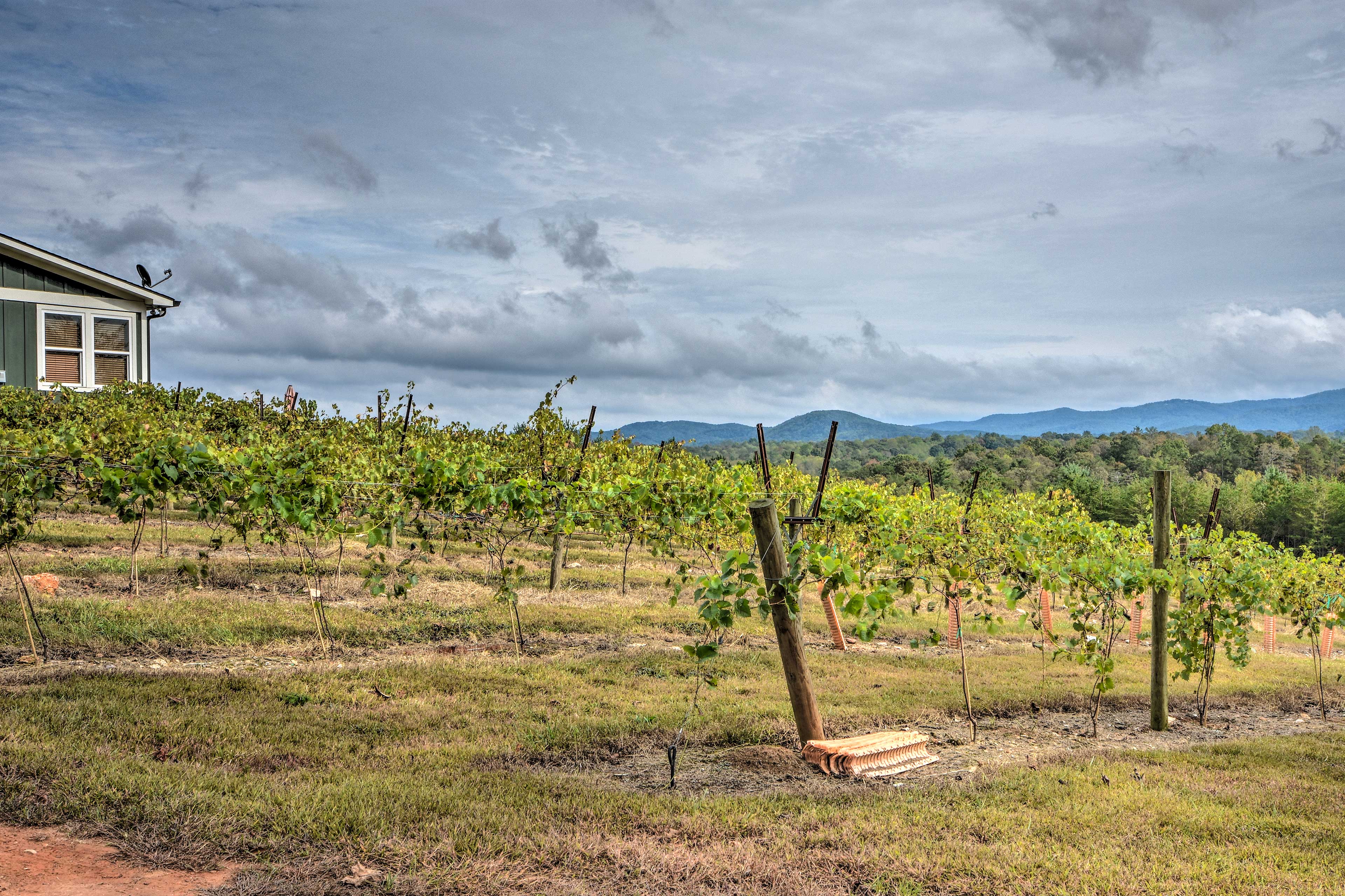 Property Image 2 - ’Cork & Creek Cottage’ w/ Mtn & Pasture Views!