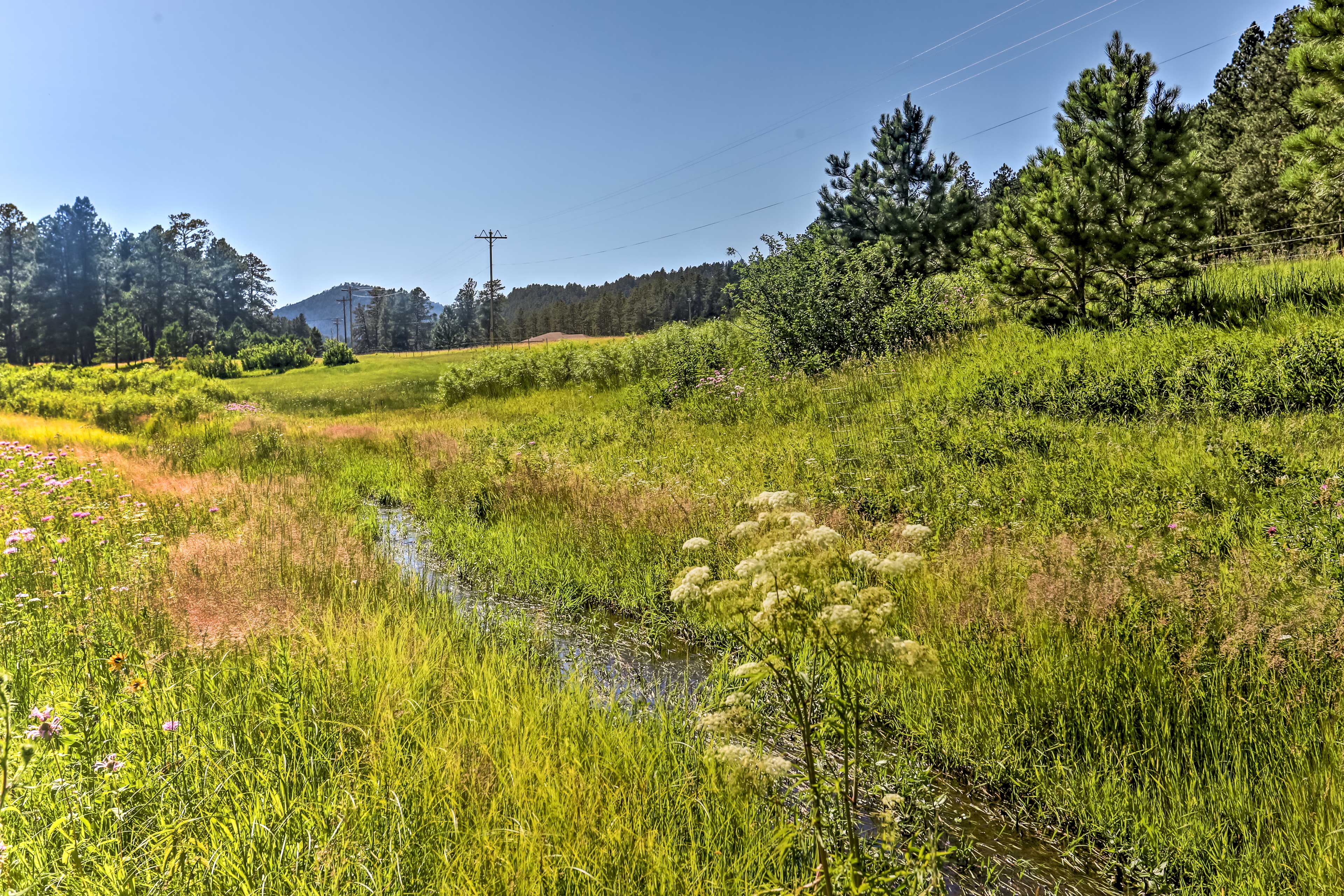 Property Image 2 - Rapid City Cabin w/ Hiking & ATV Trail Access