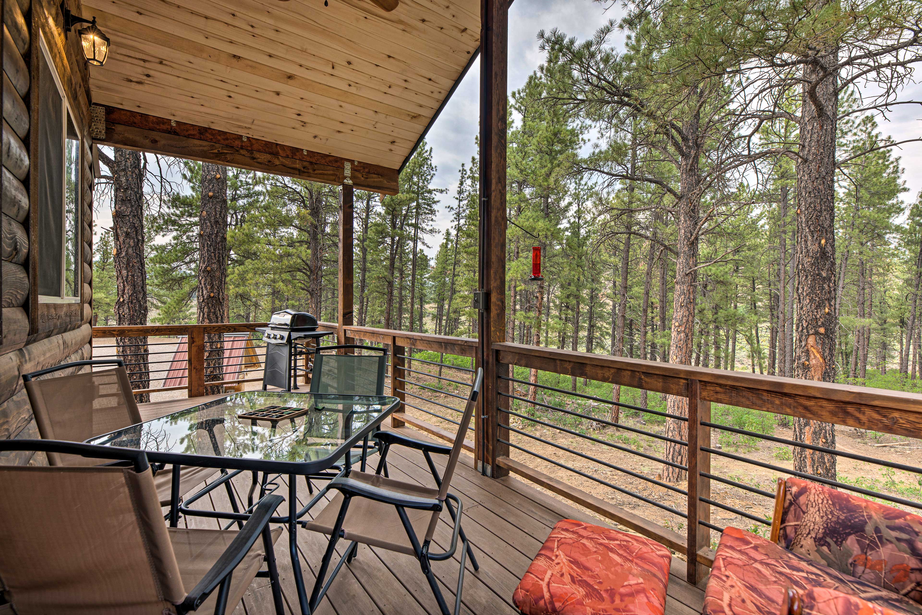 Property Image 1 - ’Cabin at the Little Ranch’: Hiking On-Site!