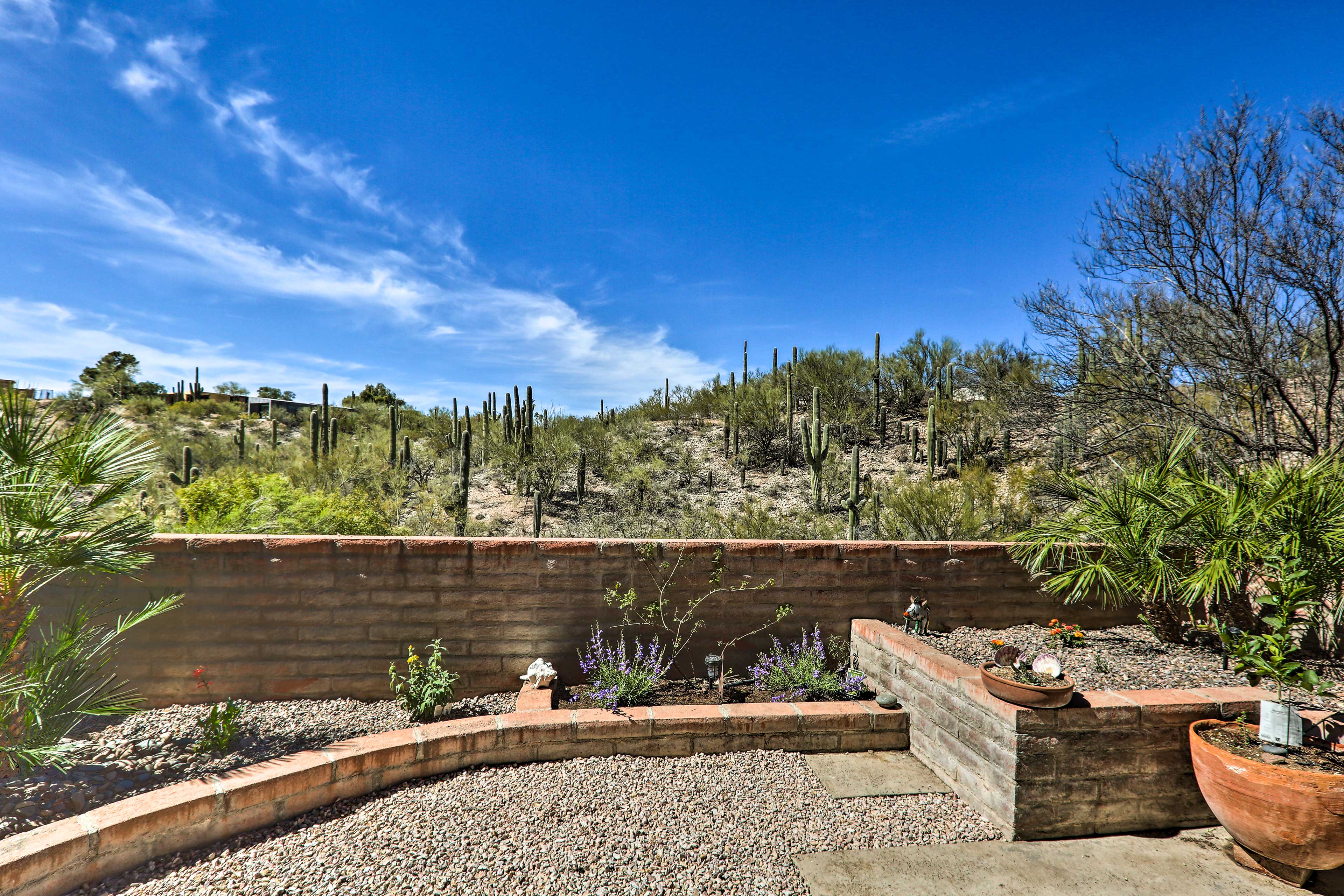 Property Image 2 - Beautiful ’Saguaro Vista’ w/ Mountain Views!
