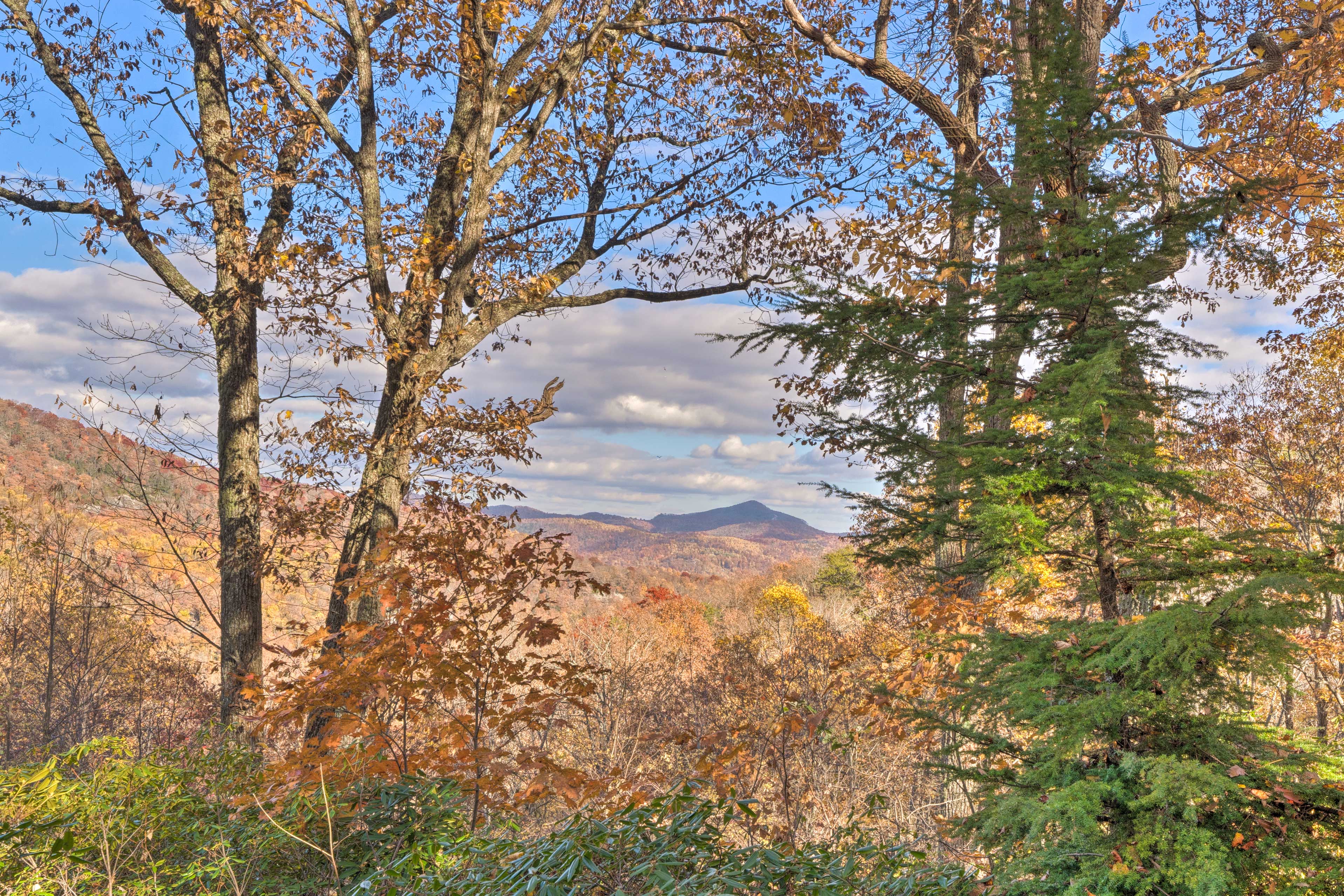 Property Image 2 - Tranquil Hendersonville Cabin w/ Mountain Views!