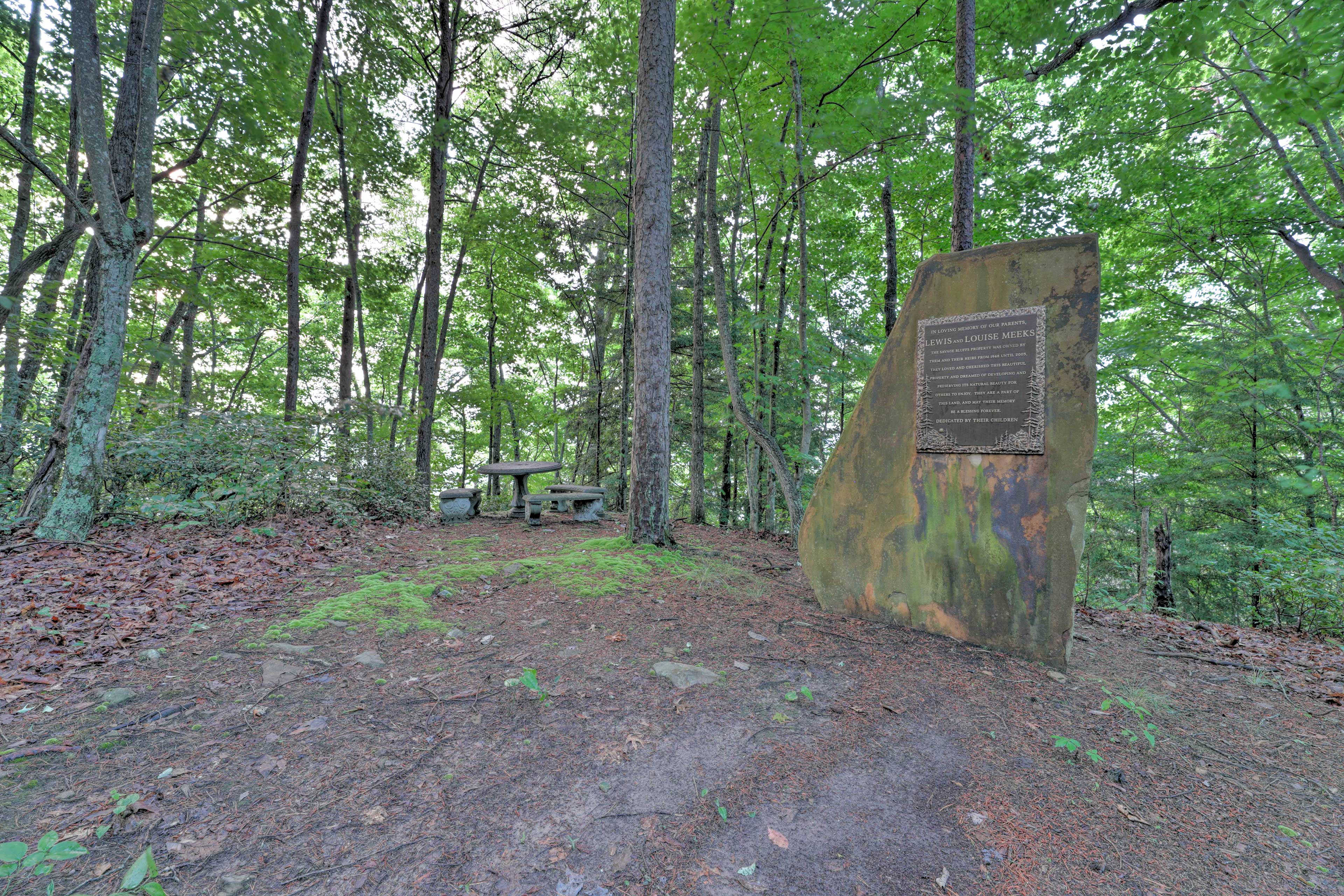 Coalmont Cabin < 10 Miles to Hiking & Fishing