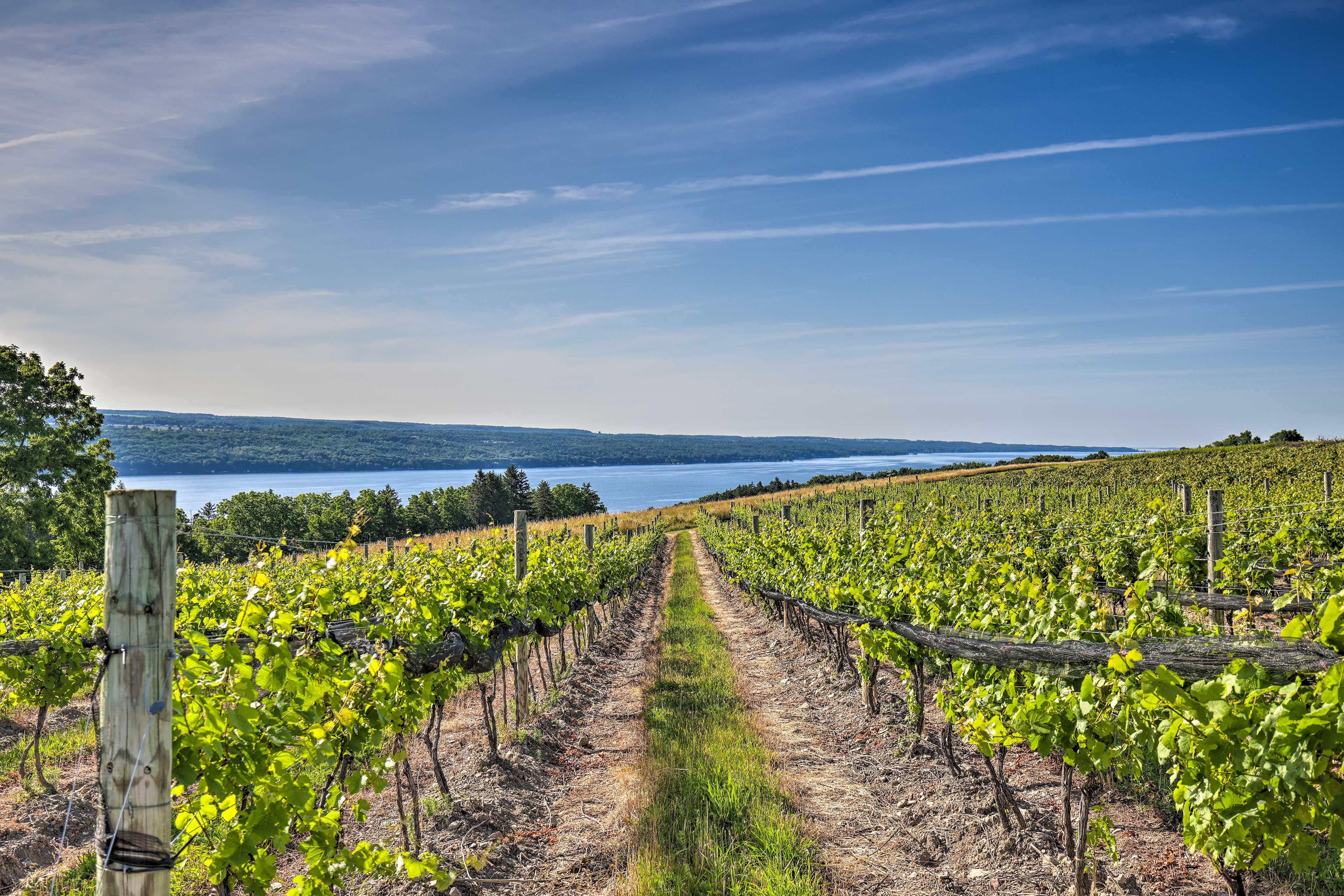 Property Image 2 - Finger Lakes Farm Retreat: Walk to Wineries!