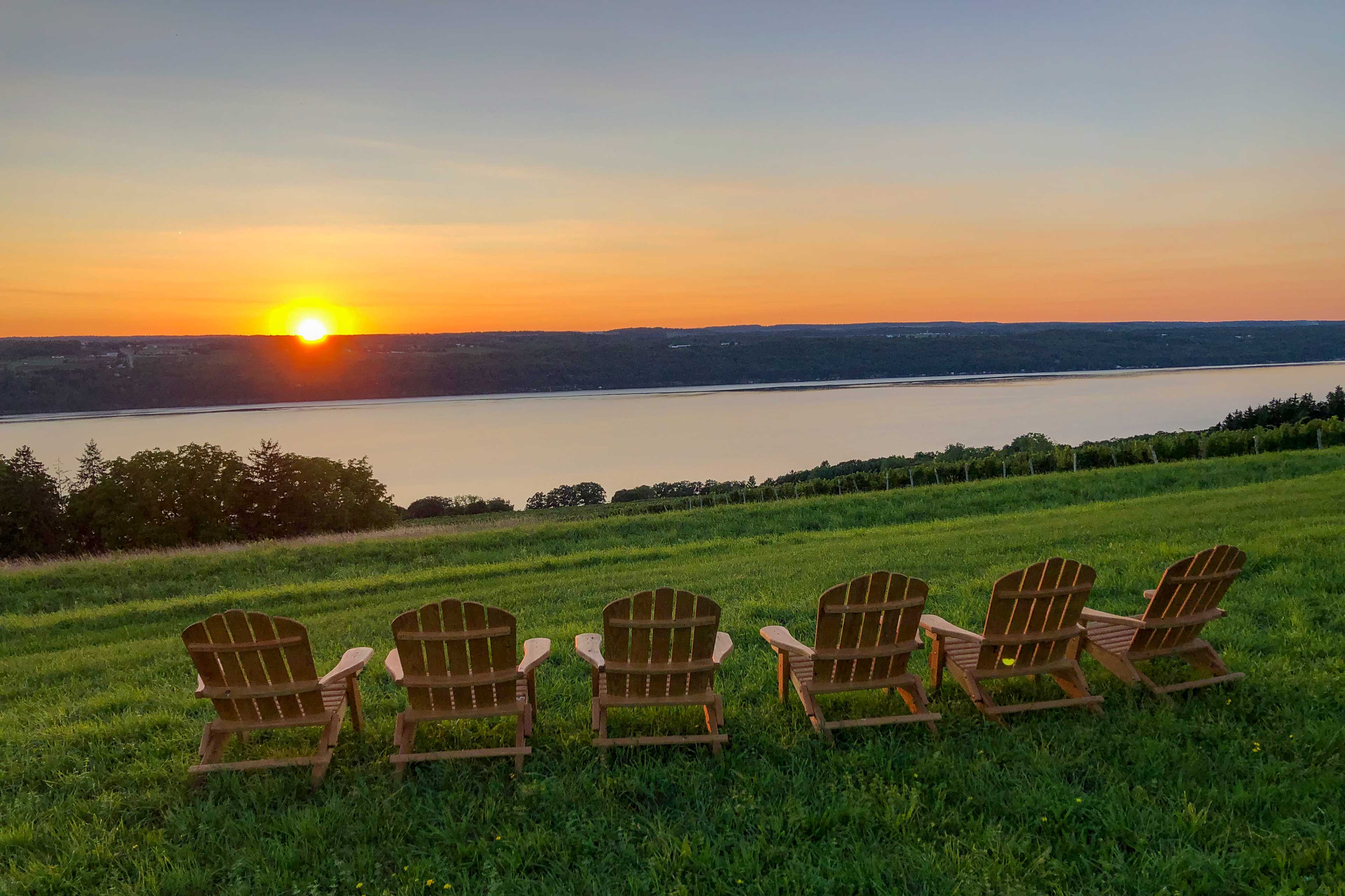 Property Image 1 - Finger Lakes Farm Retreat: Walk to Wineries!