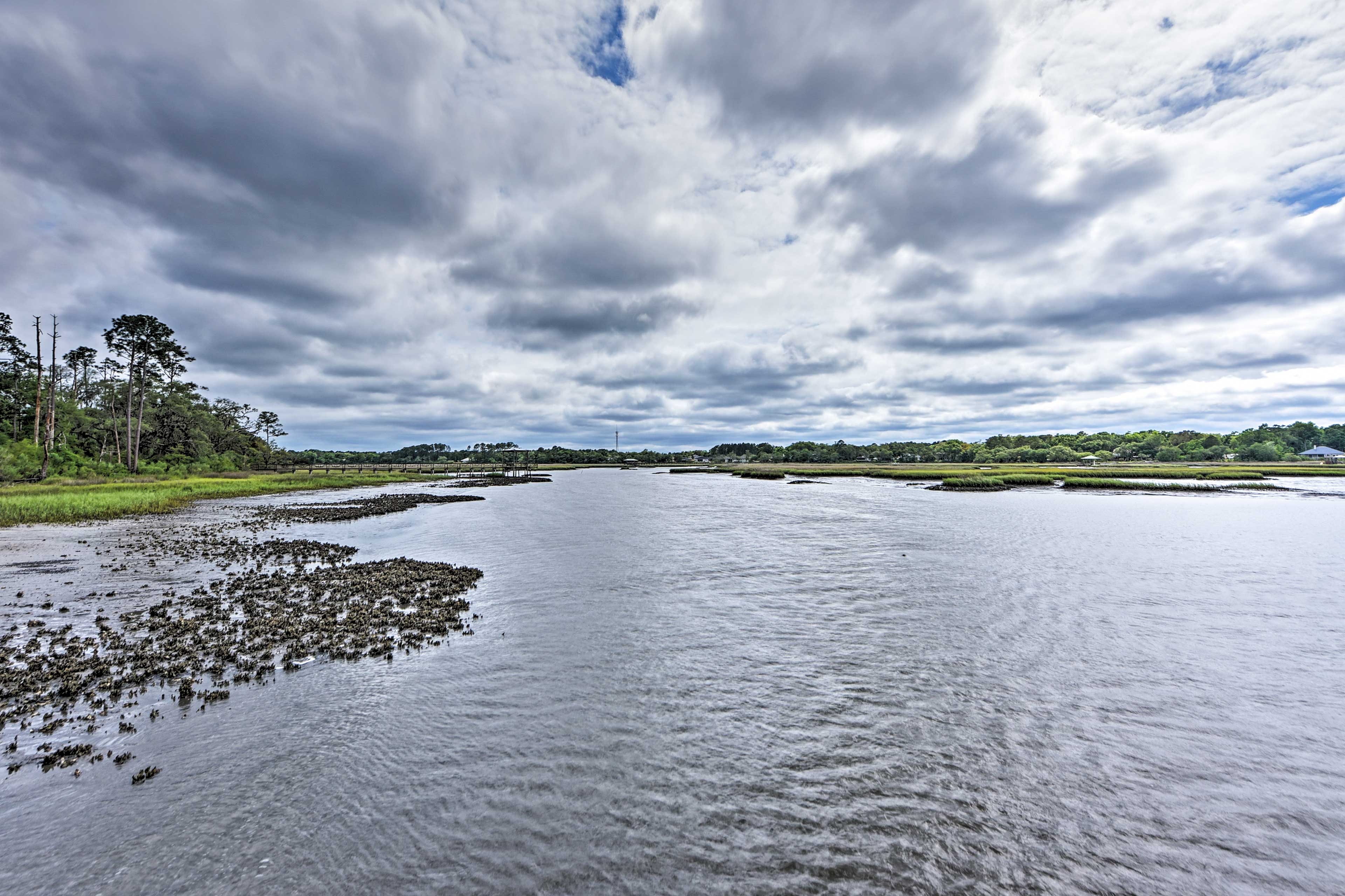 Secluded Birders Paradise: Fishing Dock & Fire Pit