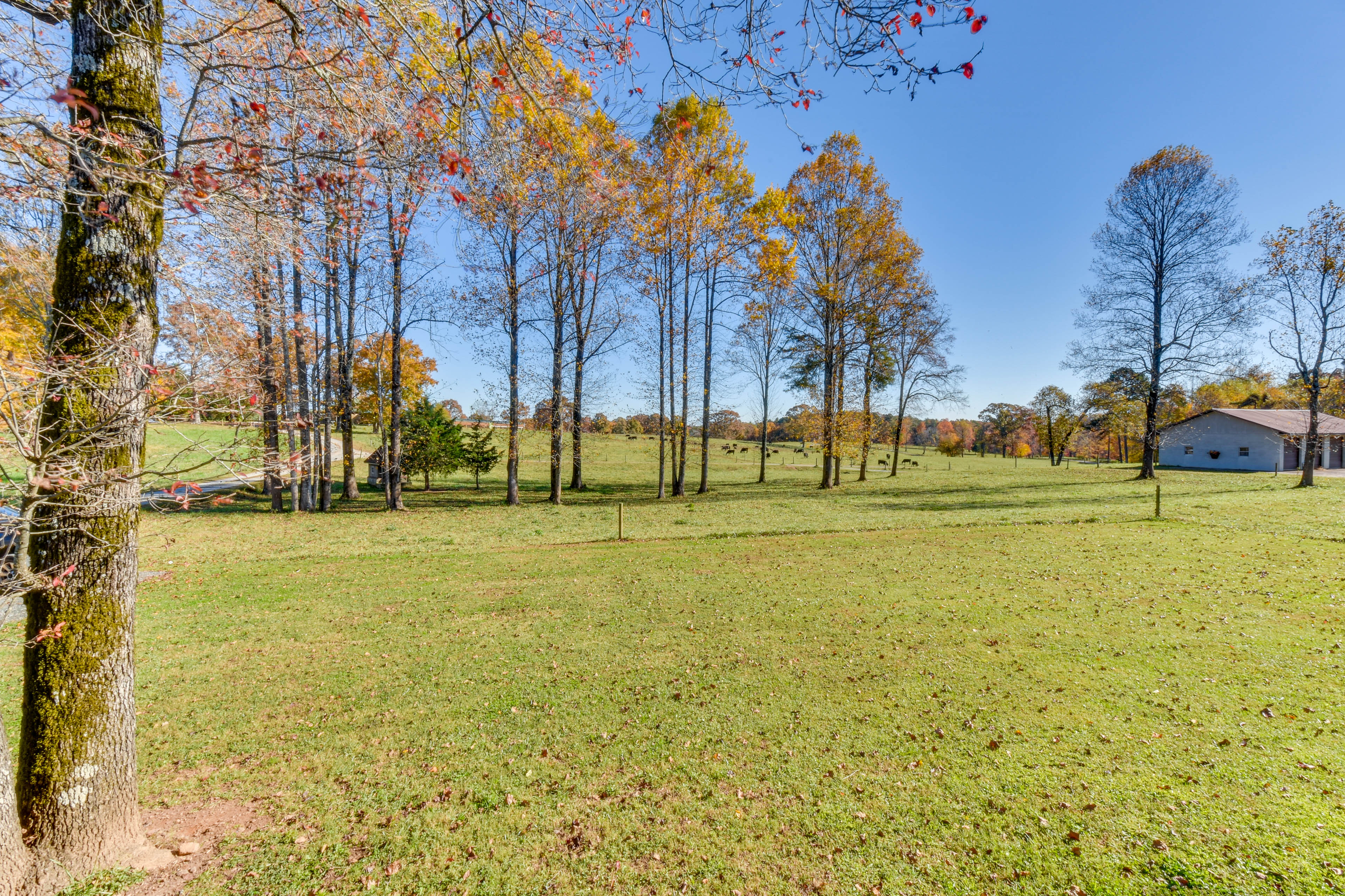 Property Image 1 - Modern Clarkesville Cottage w/ Decks & Patio!