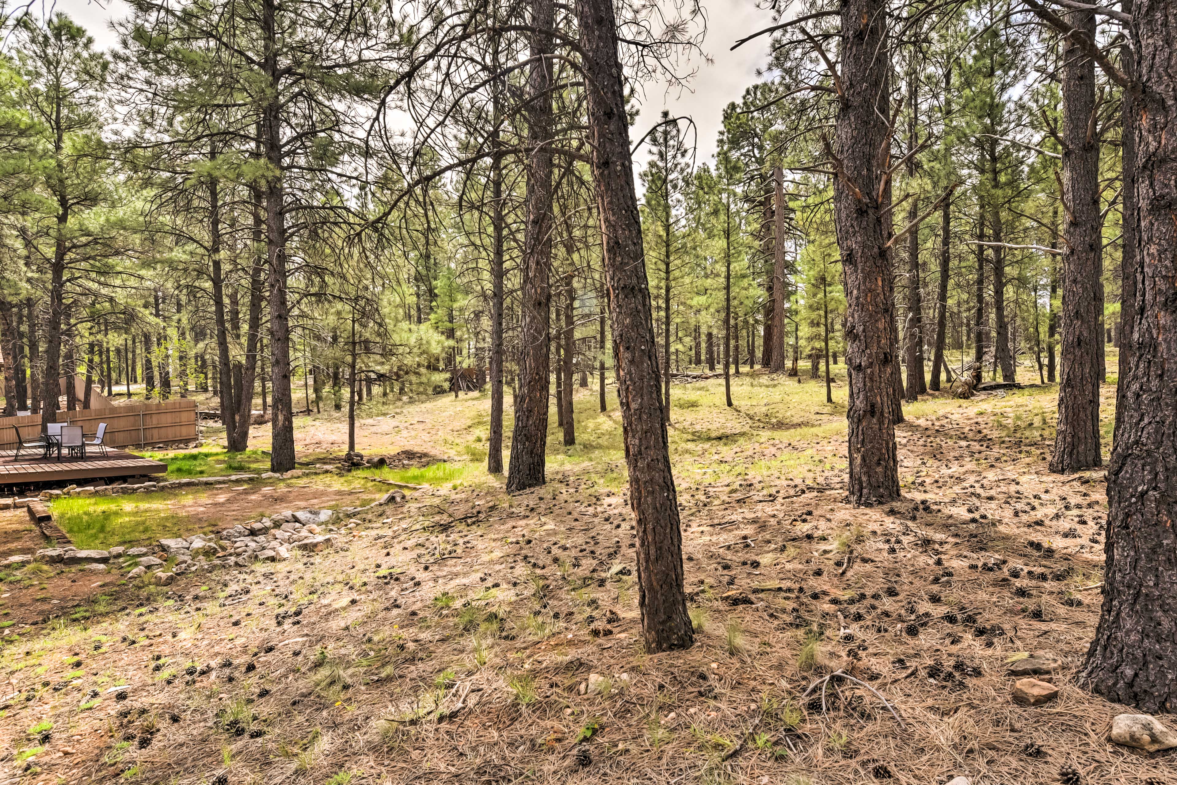 Property Image 2 - Flagstaff Home w/ Back Deck - 5 Mi to Downtown