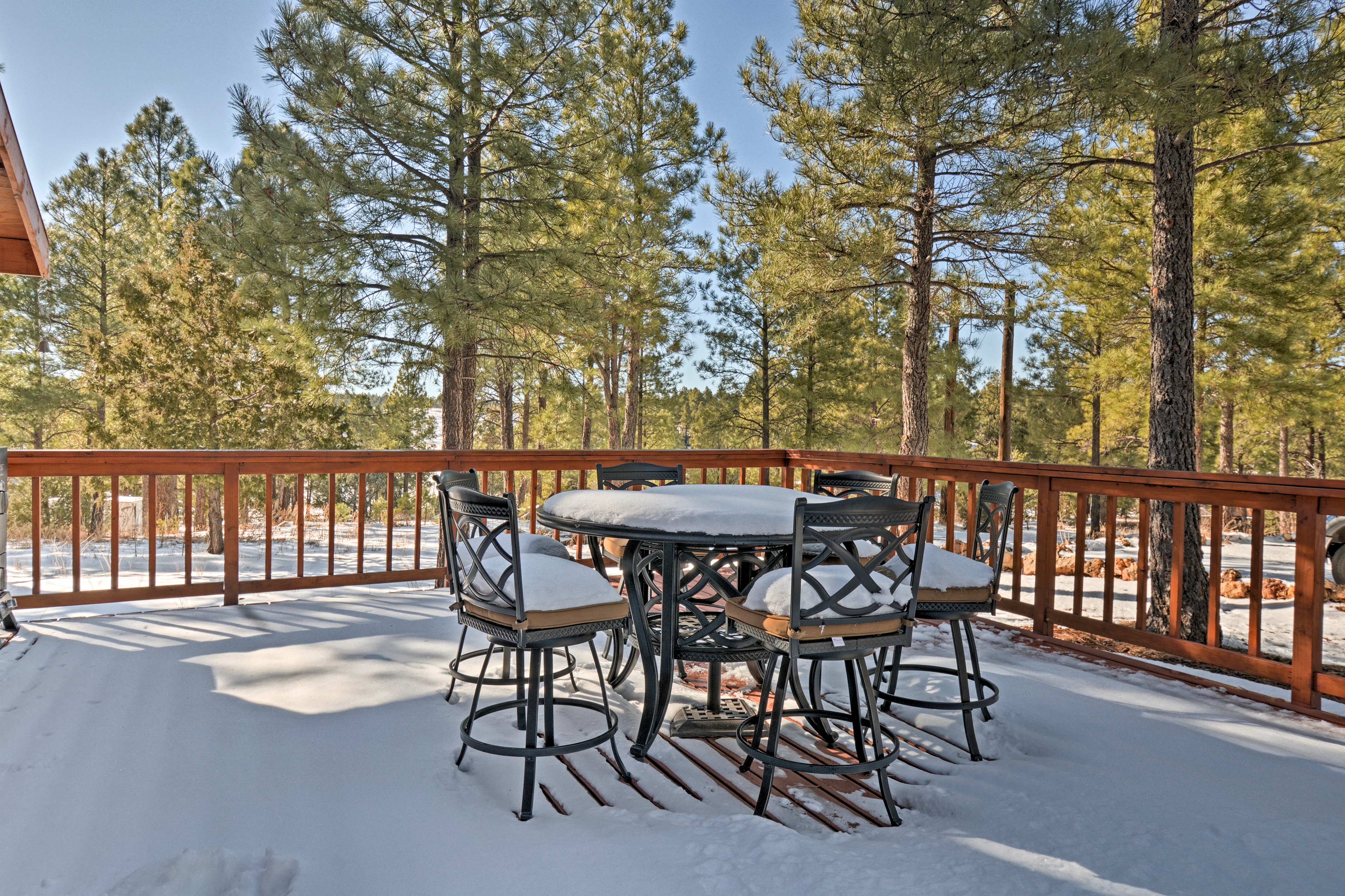 Property Image 2 - Flagstaff Cabin w/Fireplace & Fire Pit on 5 Acres!