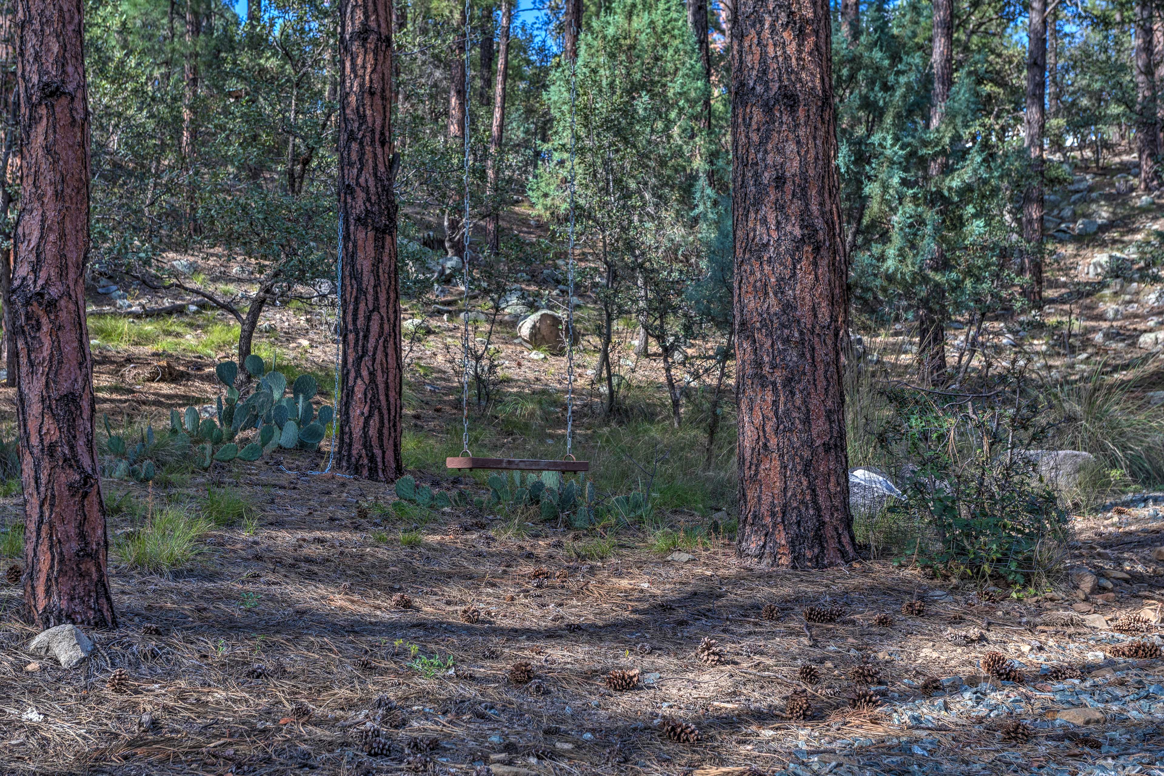 Prescott Cabin w/ Grill: Fish, Hike & Explore