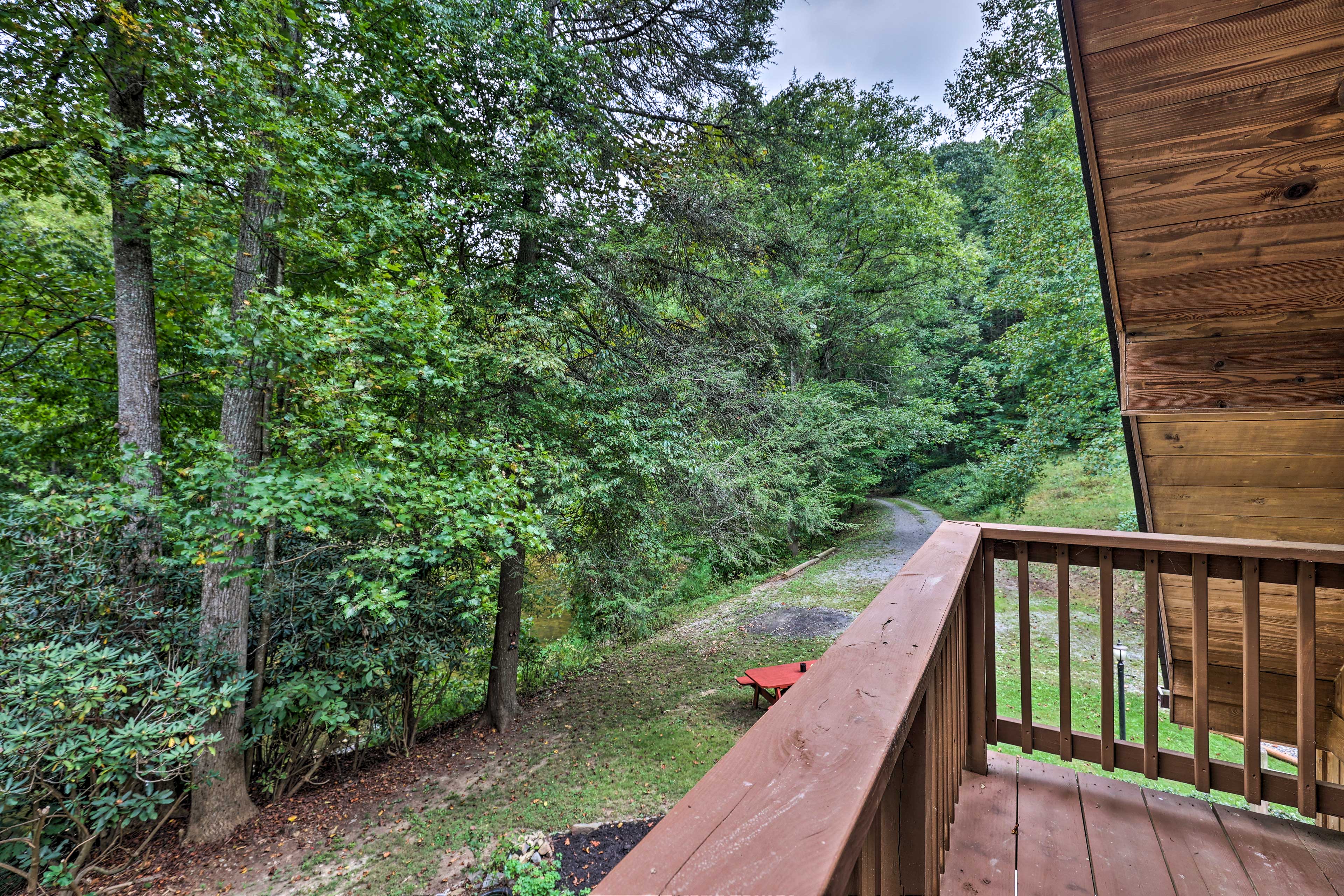 Property Image 1 - Quiet Max Meadows Cabin, 12 Acres of Property