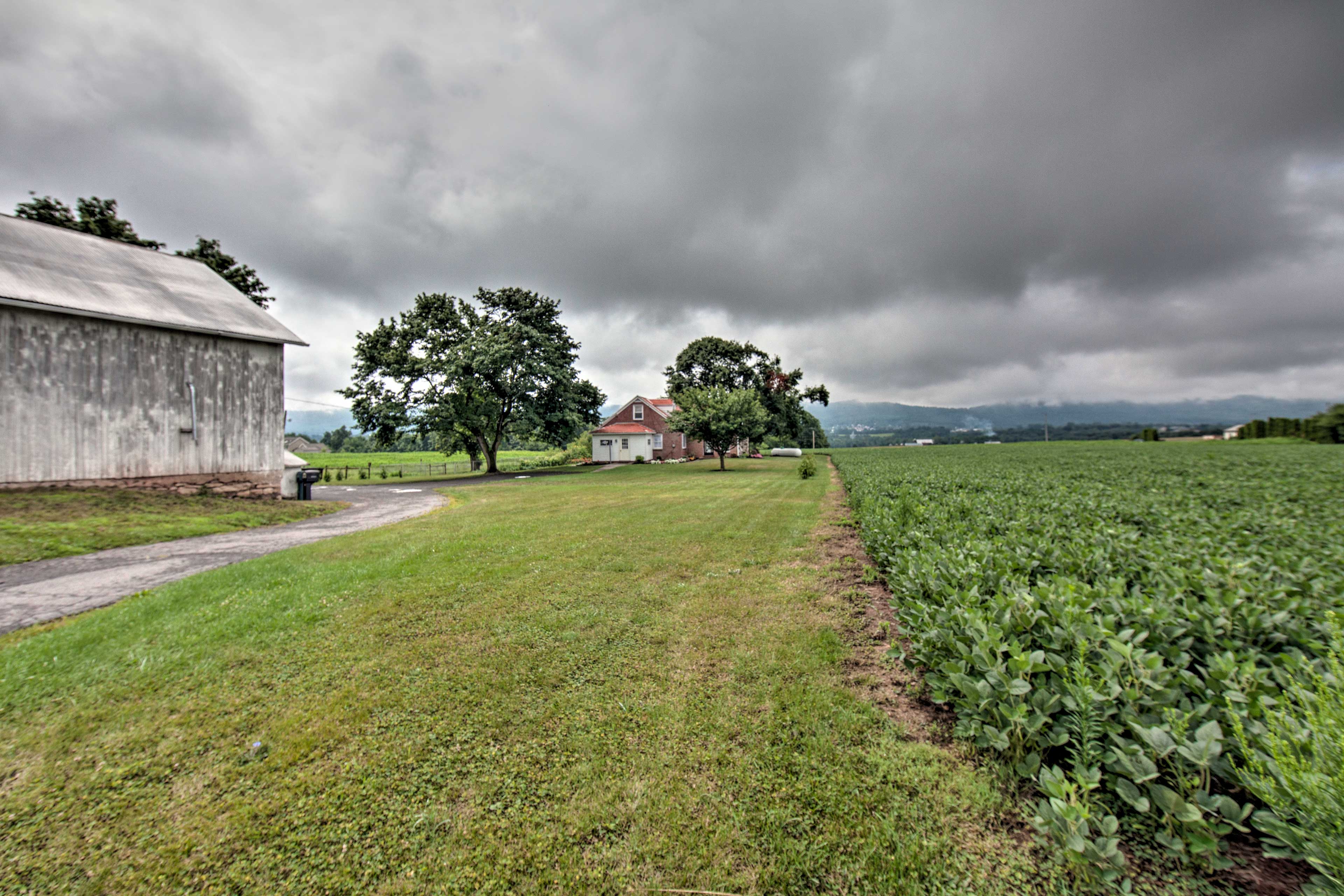 Property Image 1 - Quiet Elizabethville Home w/ Fire Pit + Views