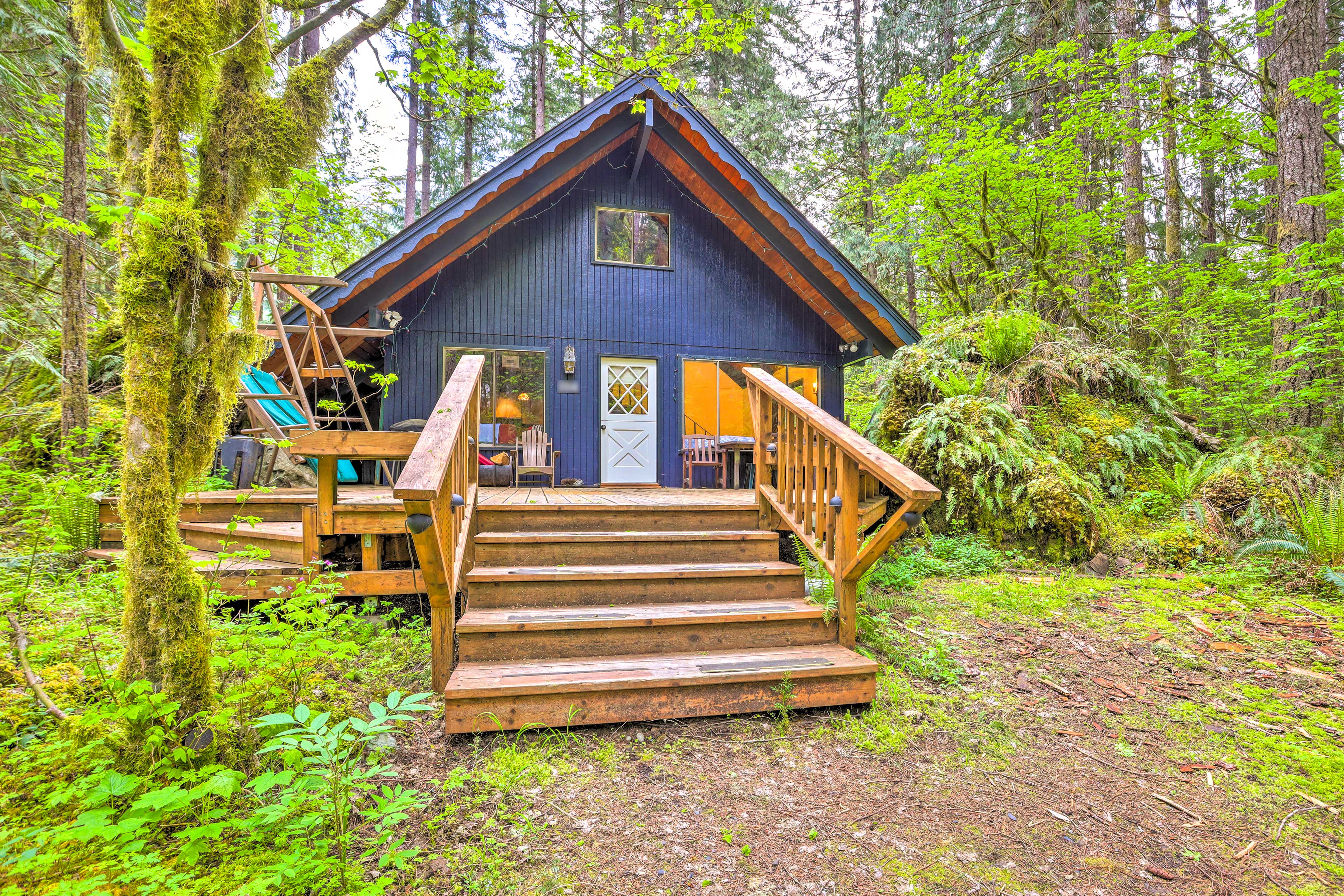 Property Image 1 - Peaceful Wooded Cabin By Mt. Baker Ski Area!