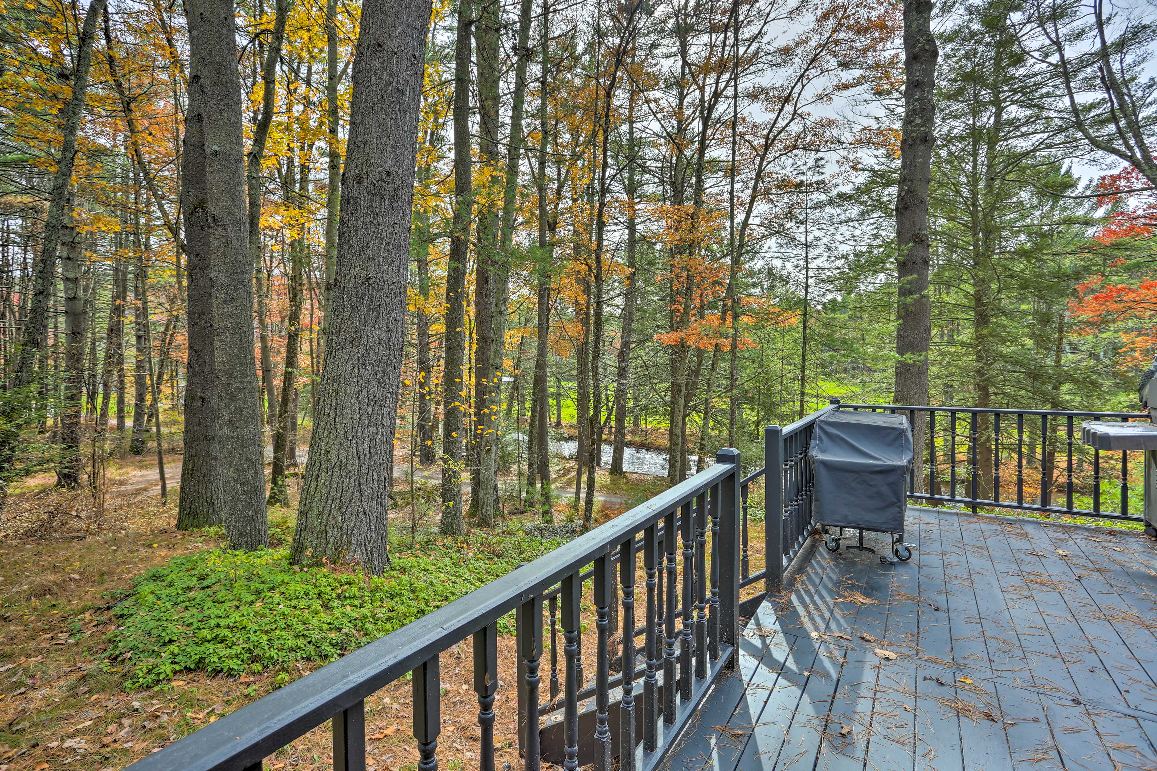 Property Image 1 - Shohola Waterfront Cabin w/ Deck, Grill & Fire Pit