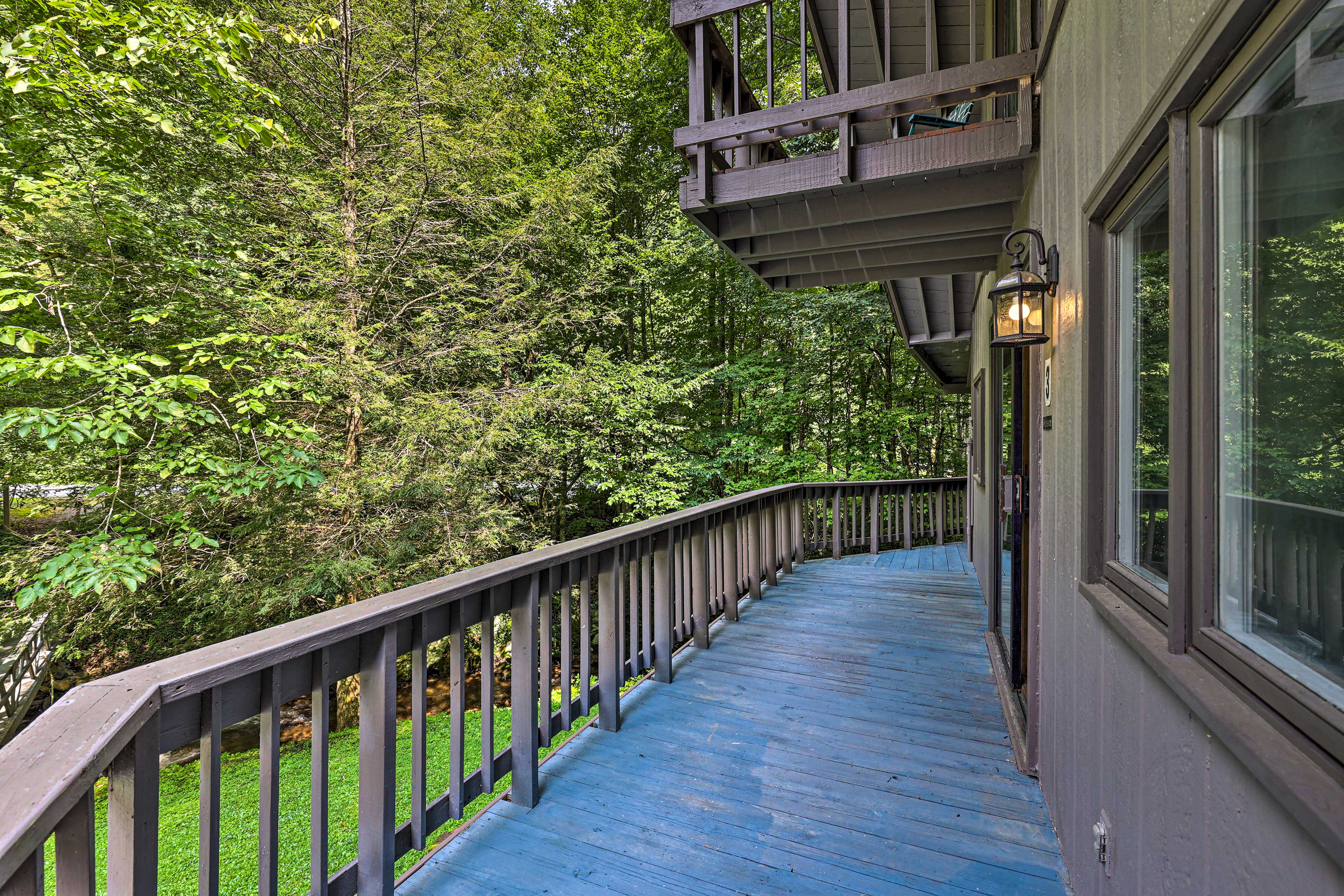 Property Image 1 - Roan Mountain Creekside Cabin: Hike & Fish!