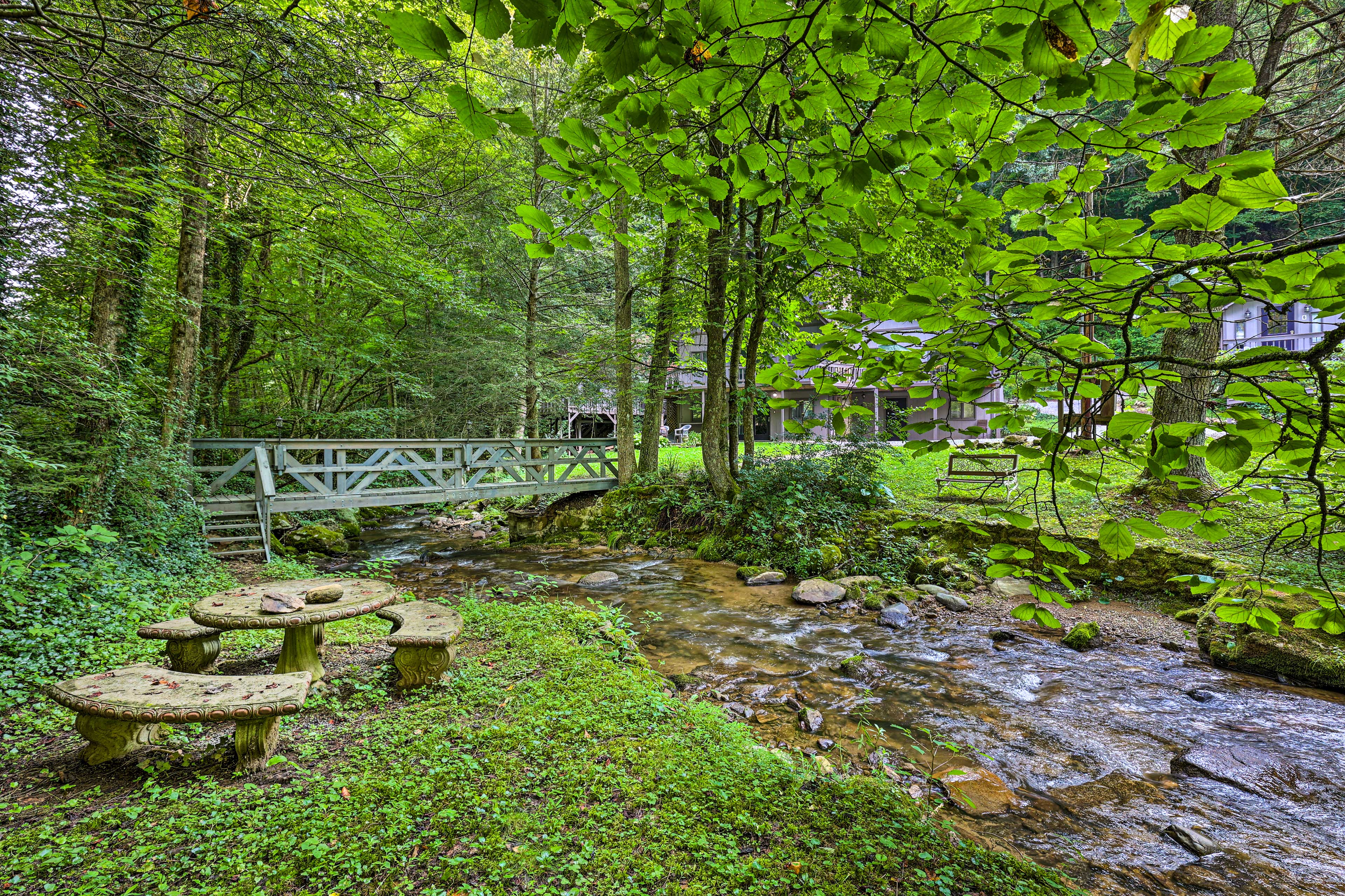 Property Image 2 - Roan Mountain Creekside Cabin: Hike & Fish!