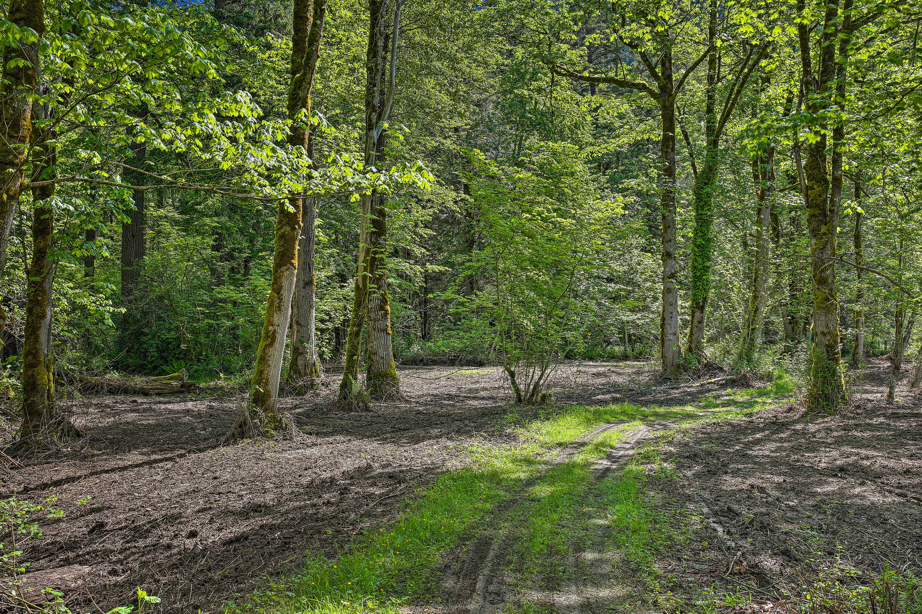Riverside North Bend Oasis: Stunning Mountain View