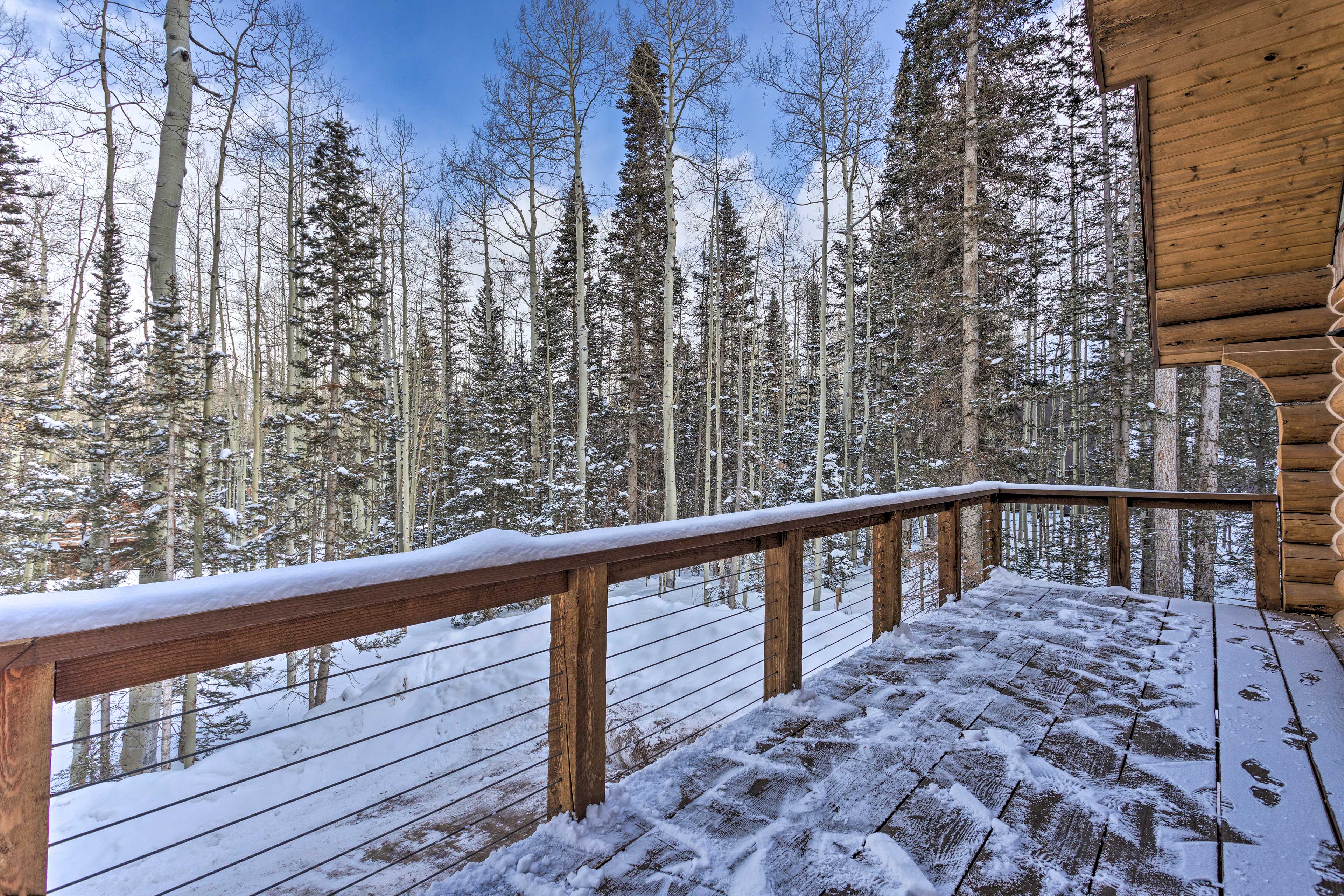 Property Image 2 - Fox Farm Retreat: Hillside Telluride Home w/ Sauna