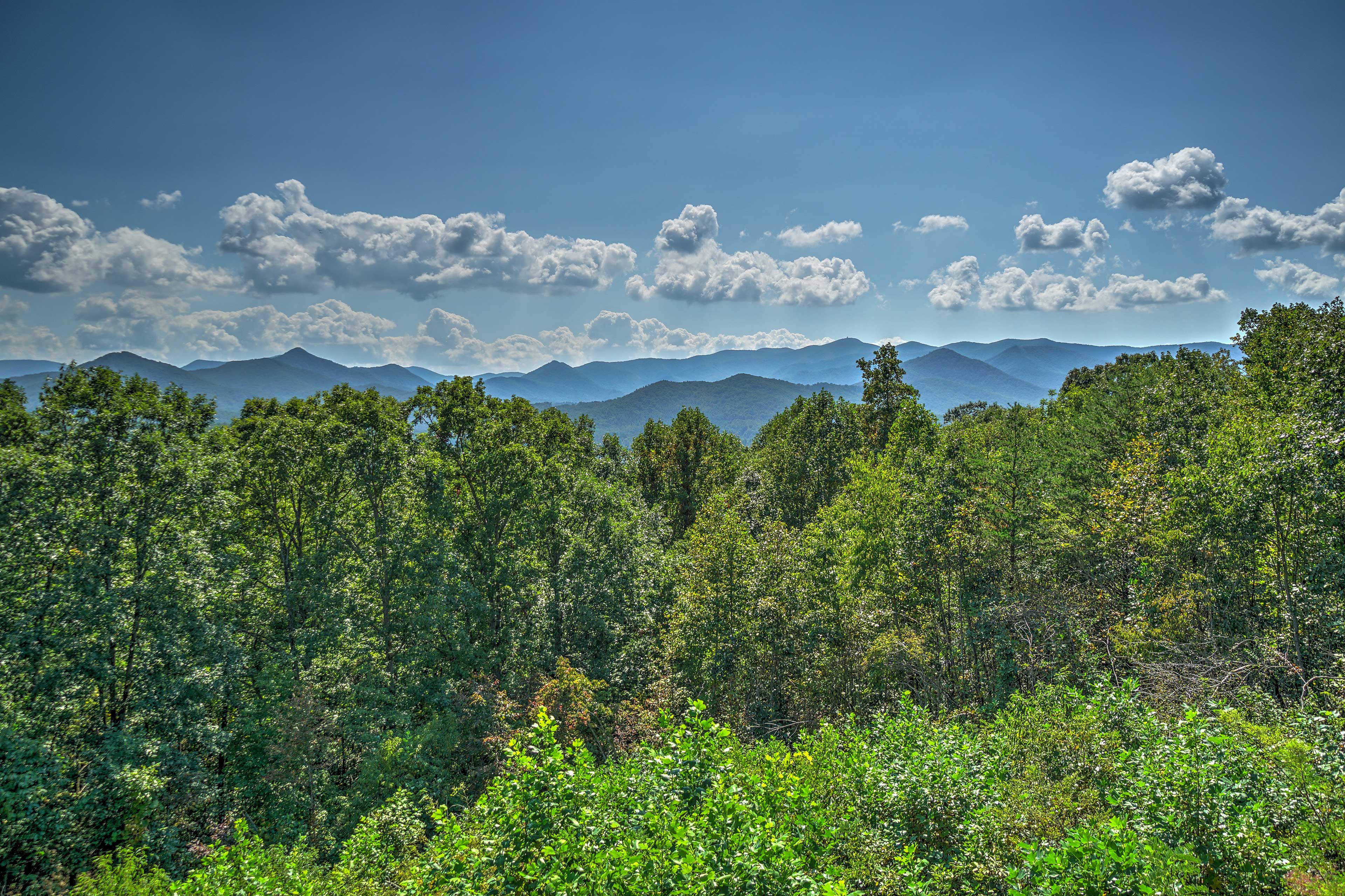 Property Image 1 - ’Frog Leap’ Hiawassee Cabin w/ Blue Ridge Mtn View