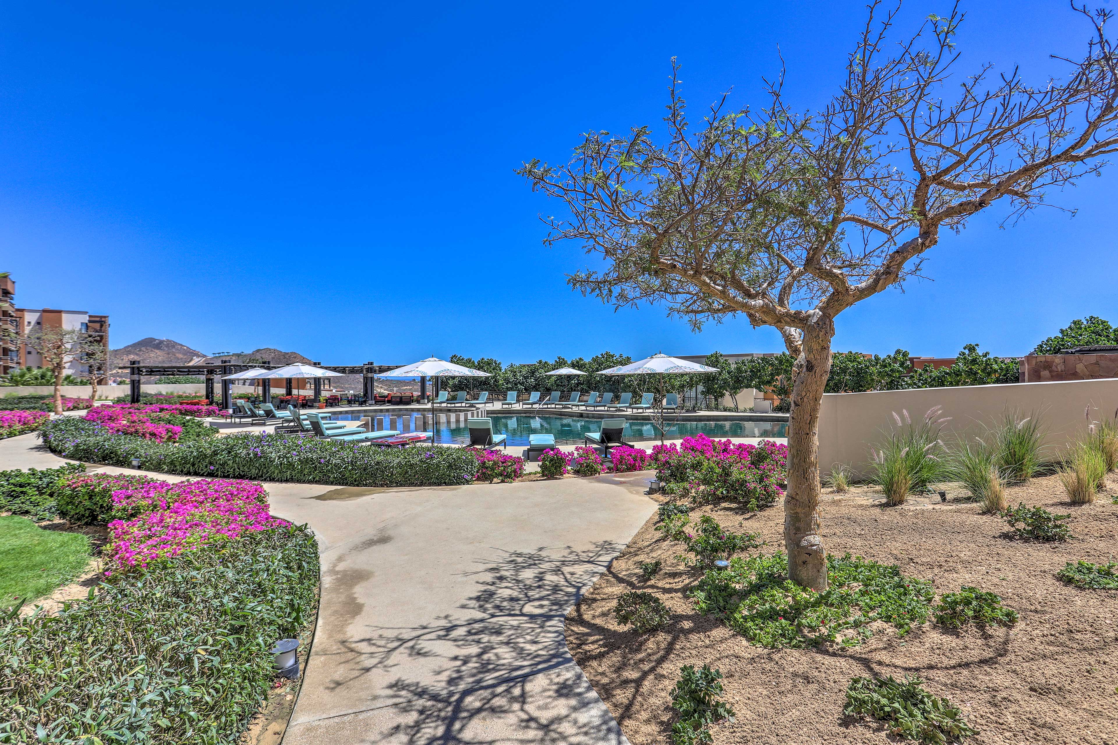 Property Image 1 - Golf Resort Condo w/Ocean Views at Cabo Quivira