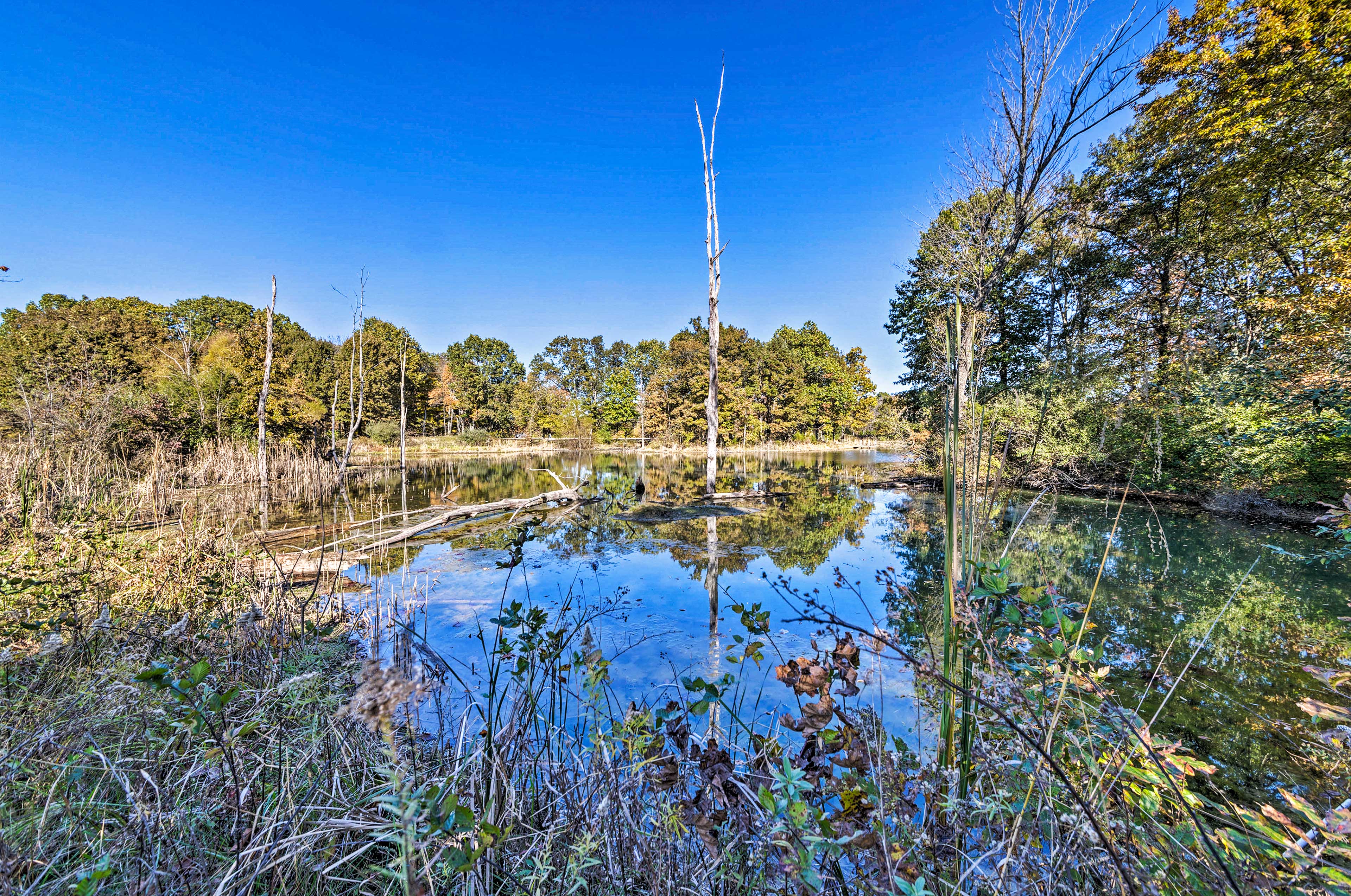 Property Image 2 - Haven in the Woods w/ 150 Acres, 2 Ponds