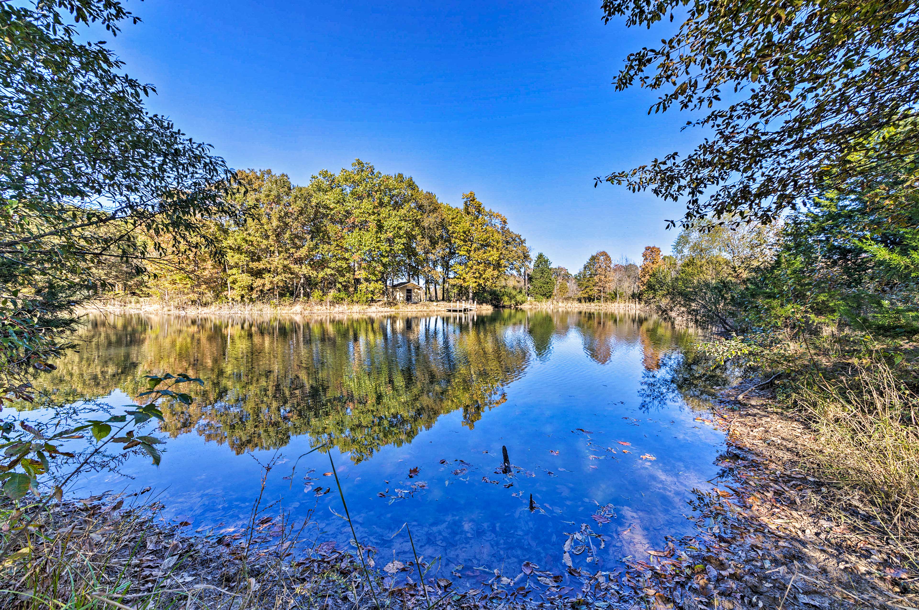 Property Image 2 - Haven in the Woods w/ 150 Acres, 2 Ponds