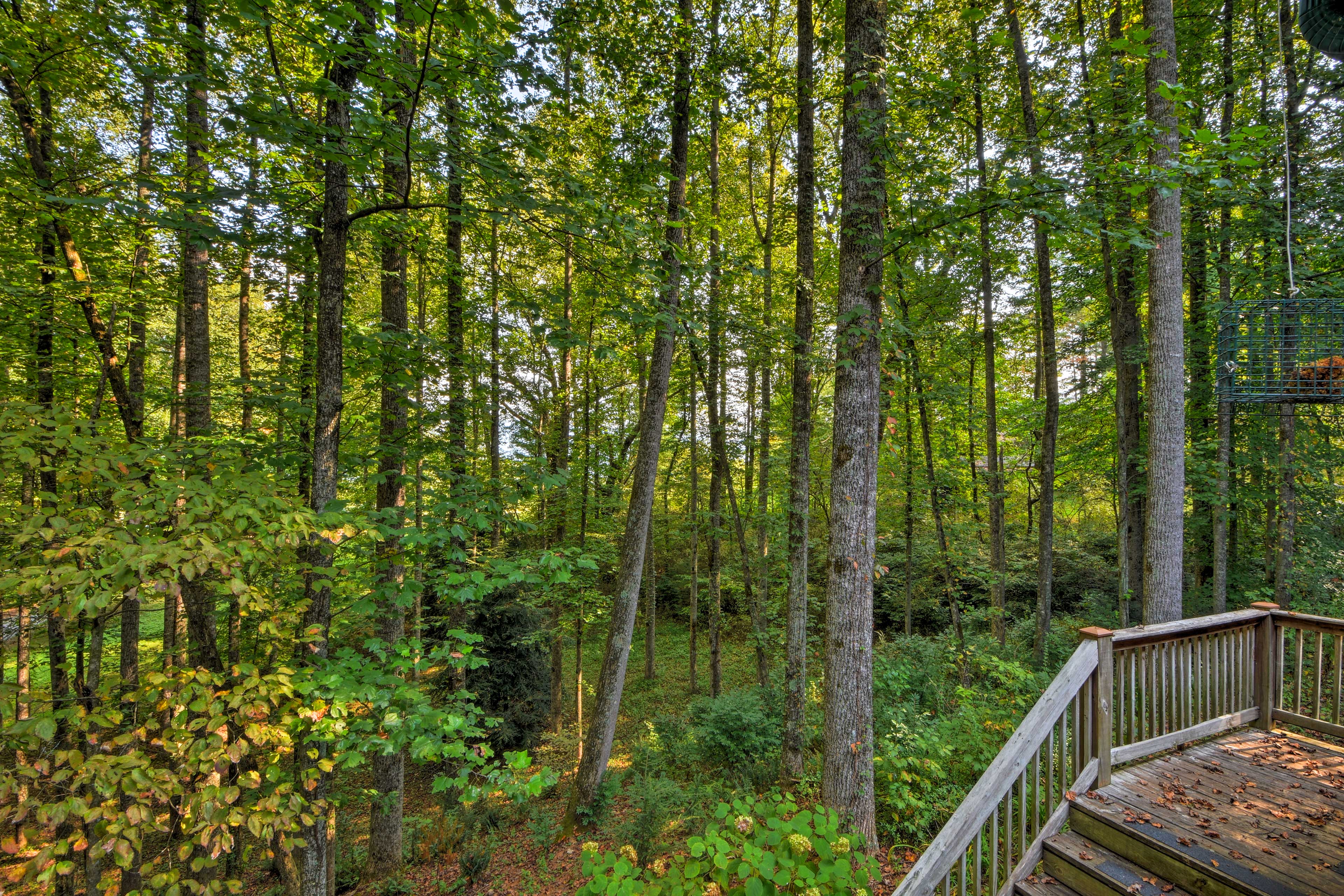 Property Image 1 - Andrews Cabin w/ Deck, Grill, Fire Pit & Game Room